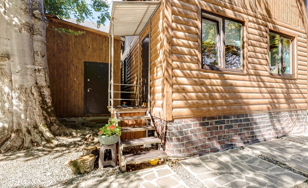 Фото Чинара