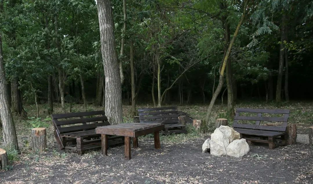 Фото Лесной уголок