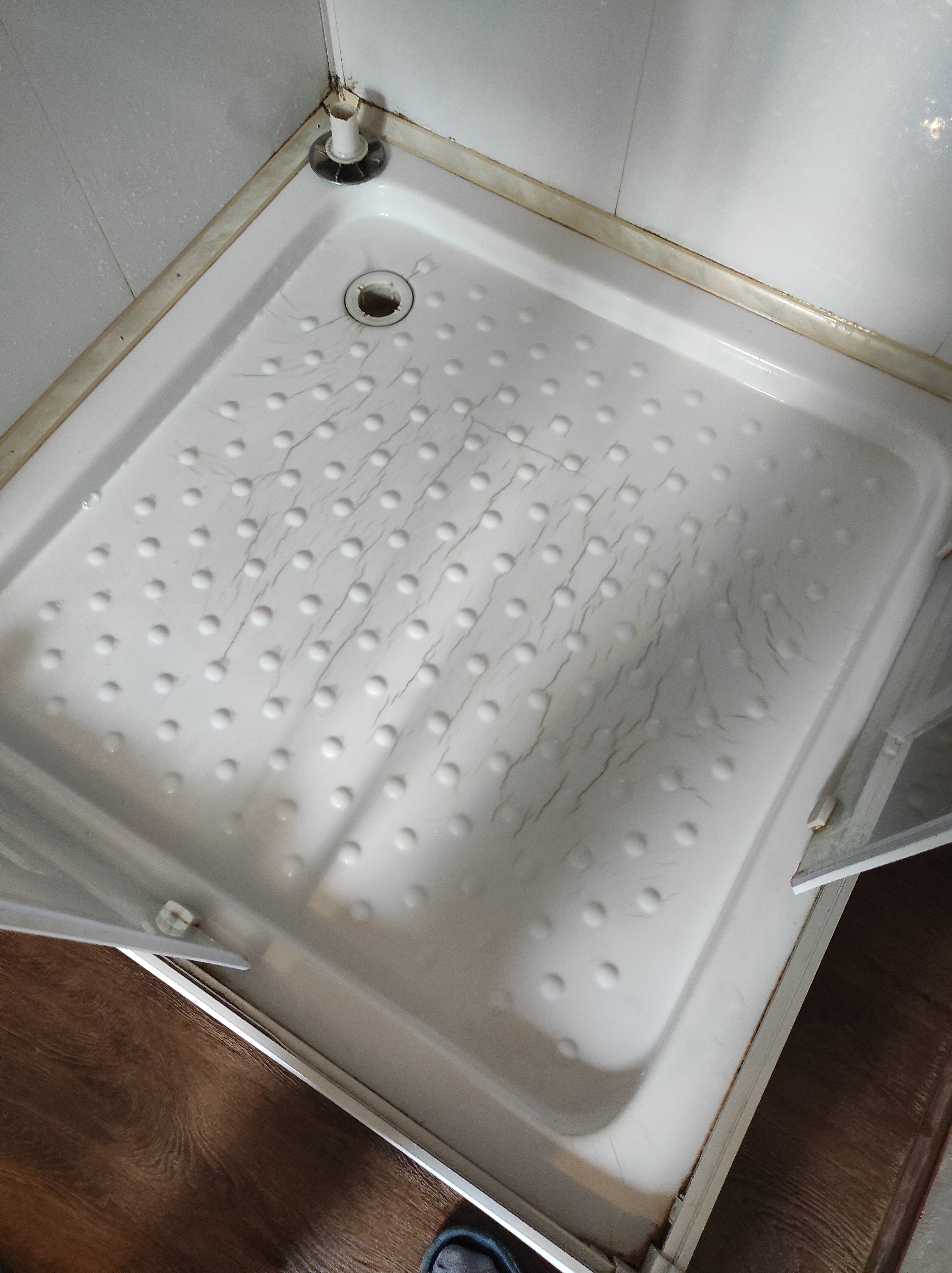 Фото Оранжереи