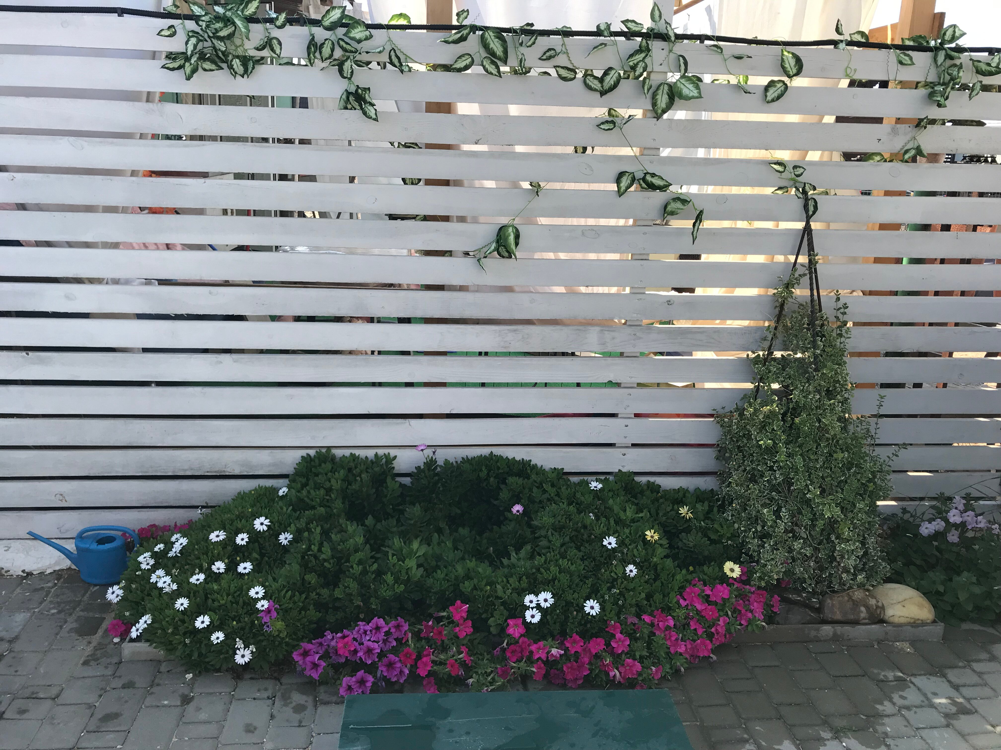 Фото Баунти