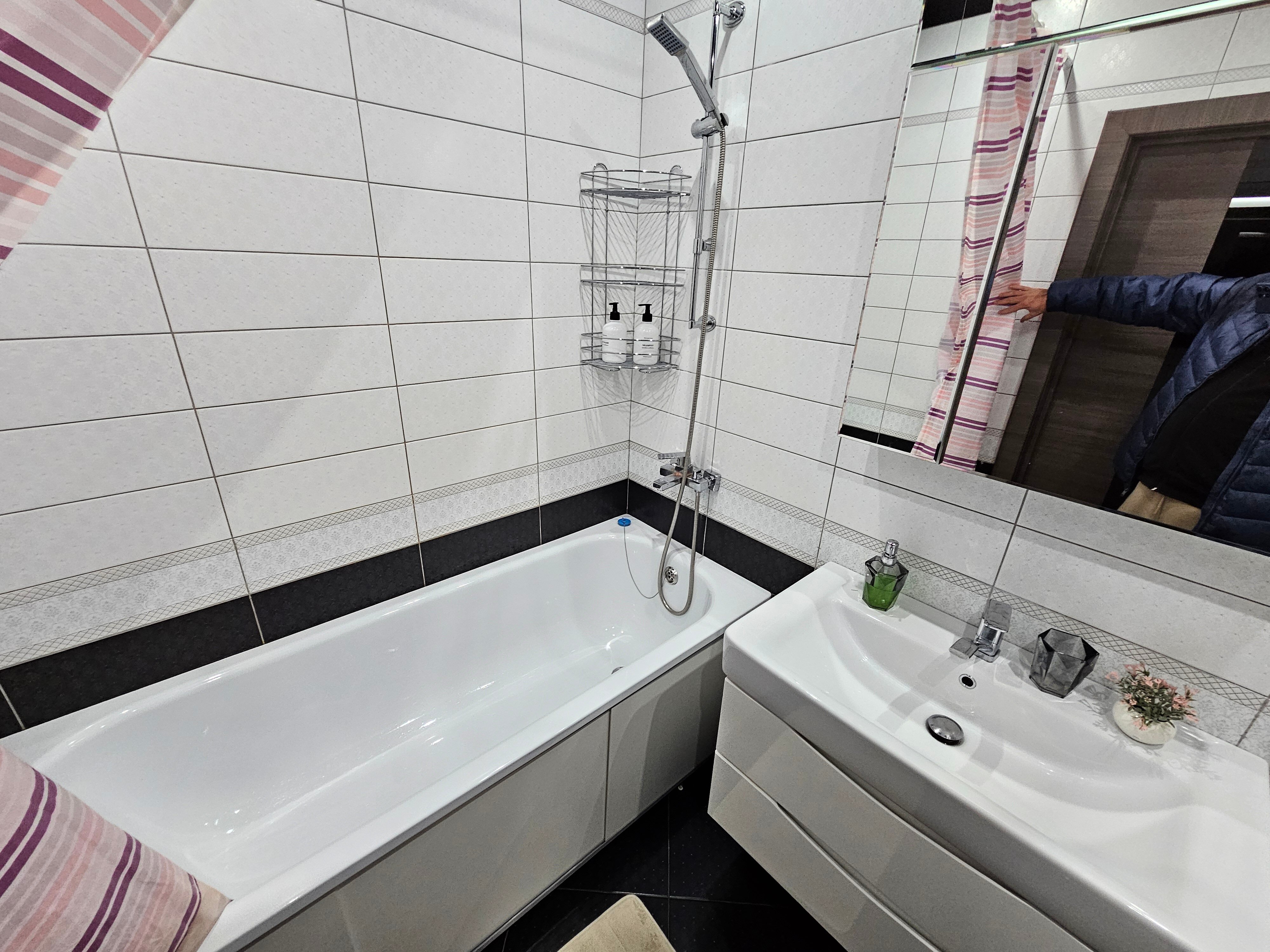 Фото Ласточка