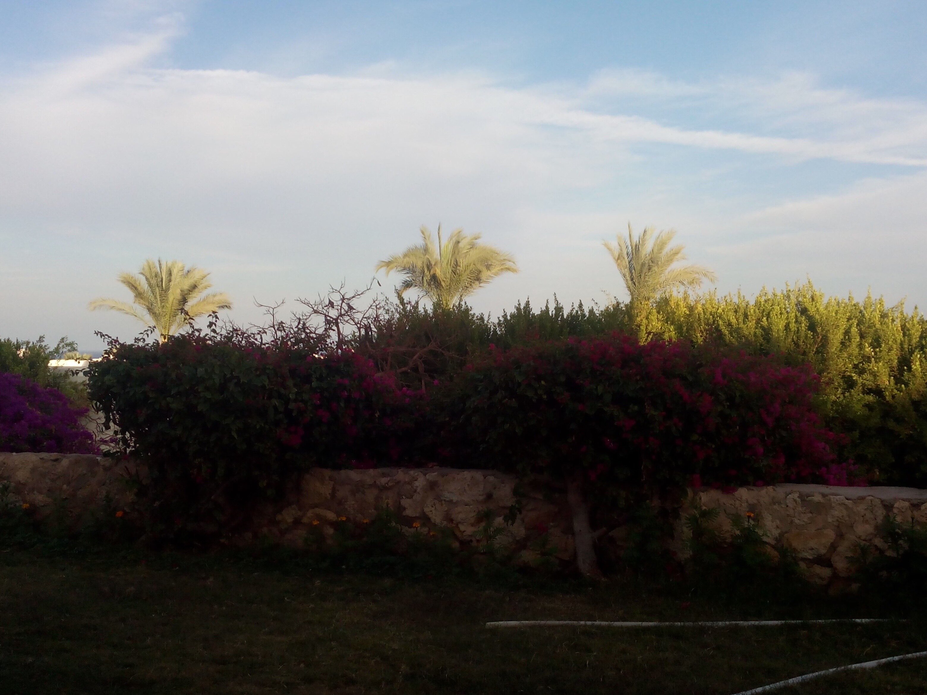 Фото Mexicana Sharm Resort