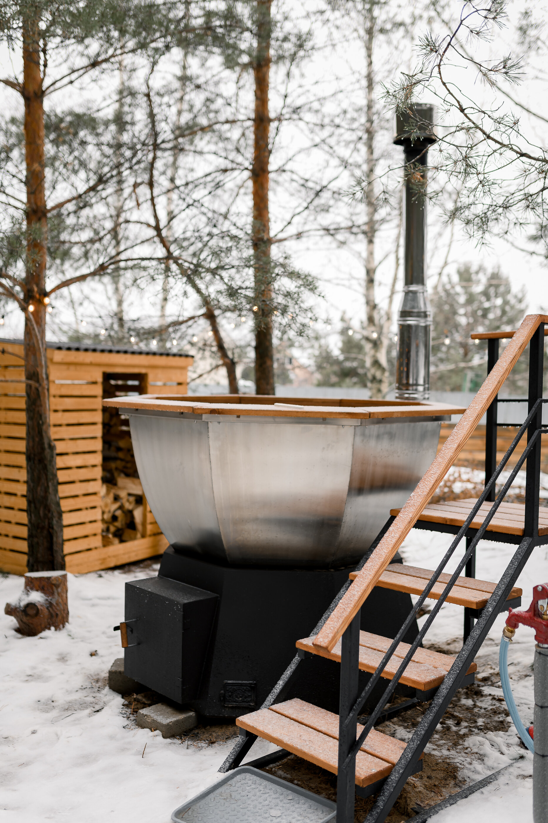 Фото Место под соснами