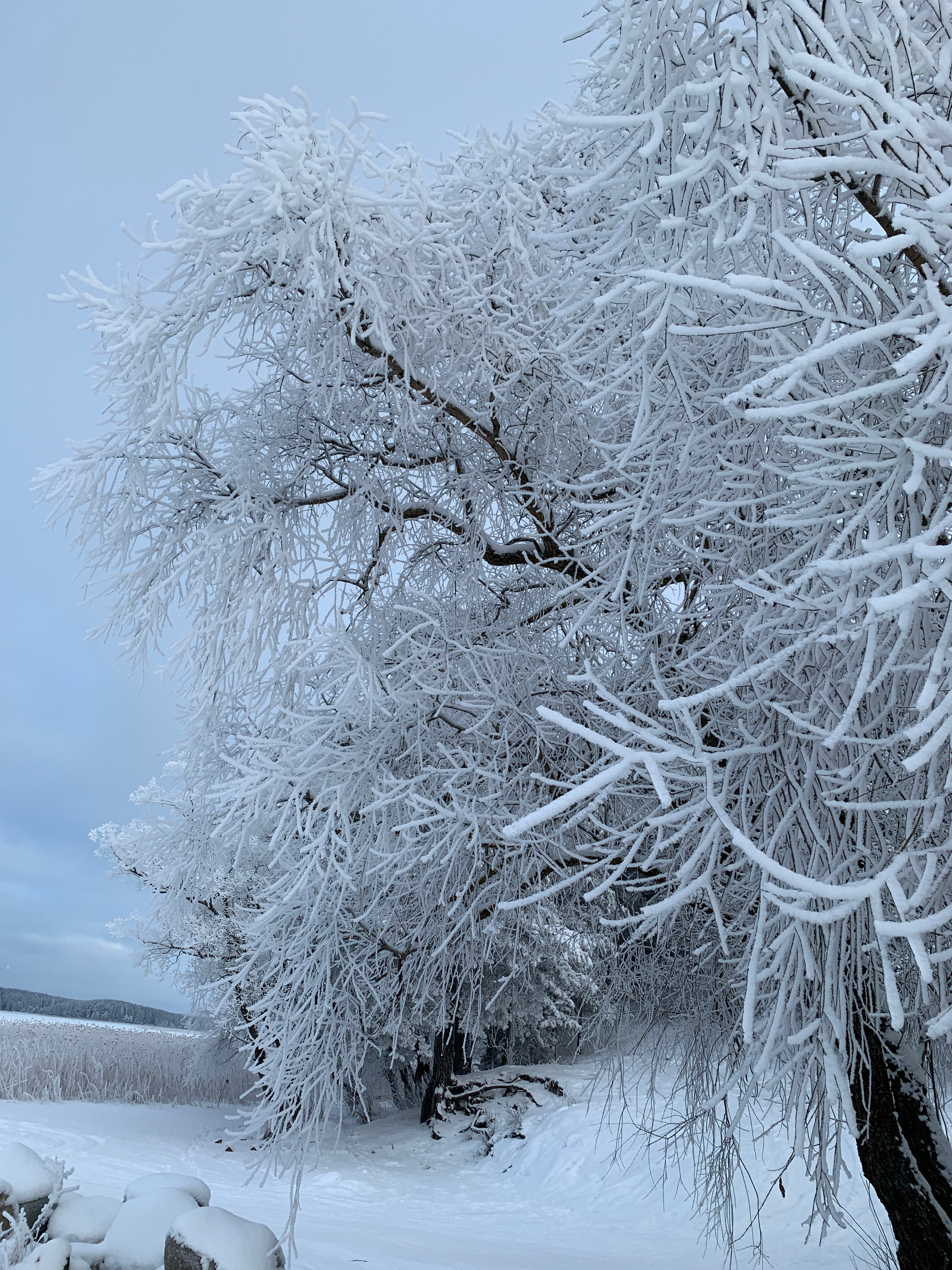 Фото Уникальный дом