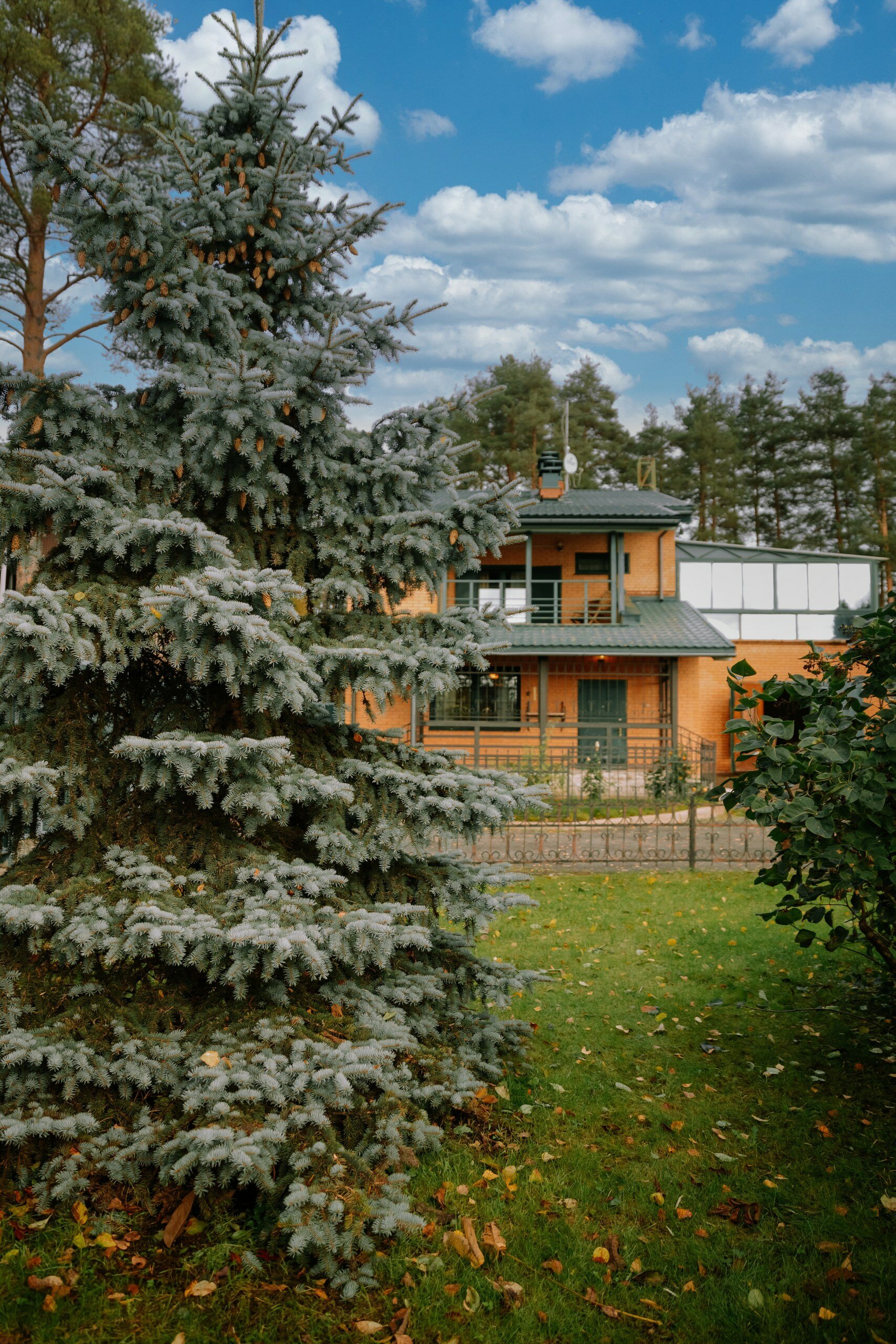 Фото Северный сад