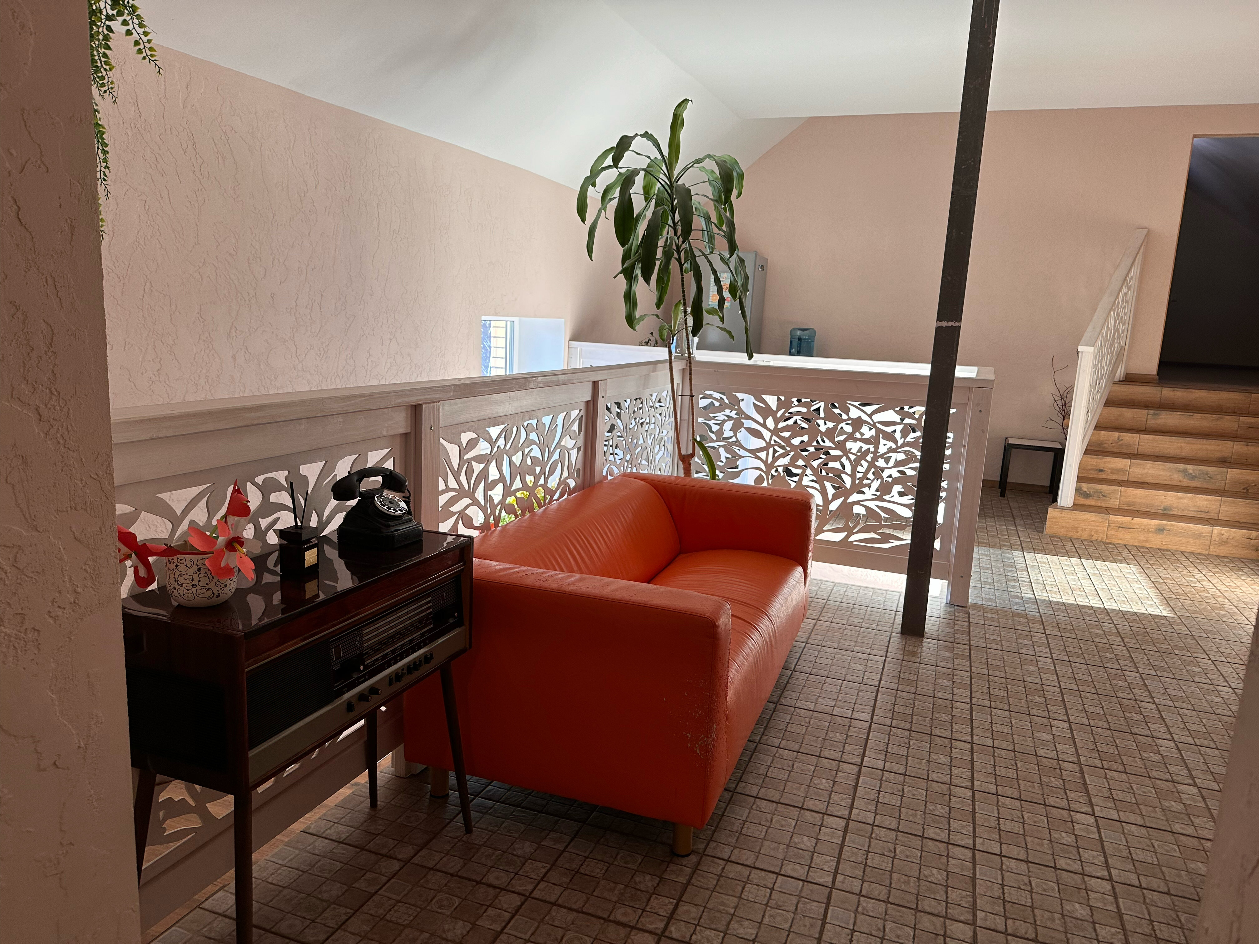 Фото Три кота