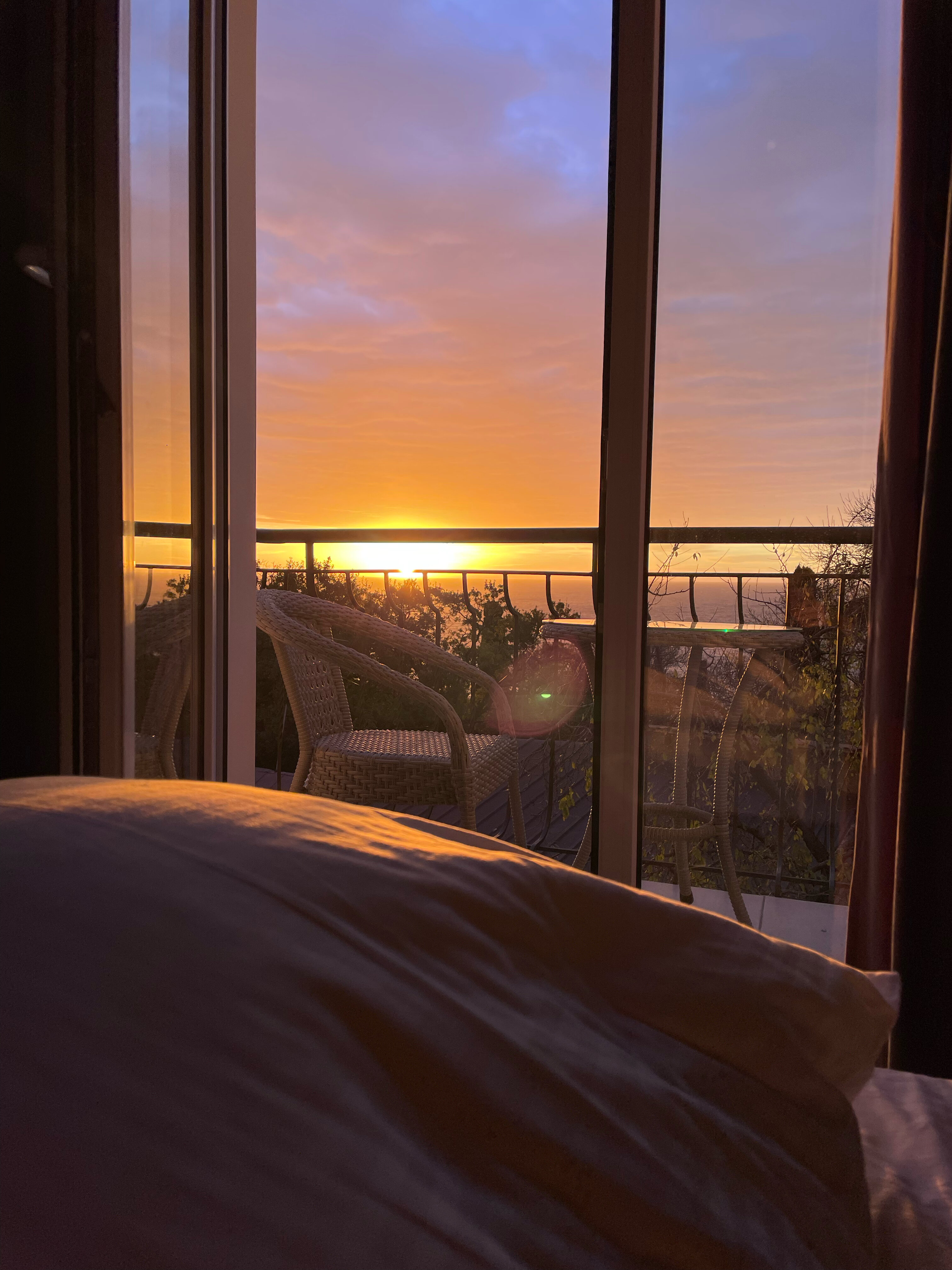 Фото Южный Кедр