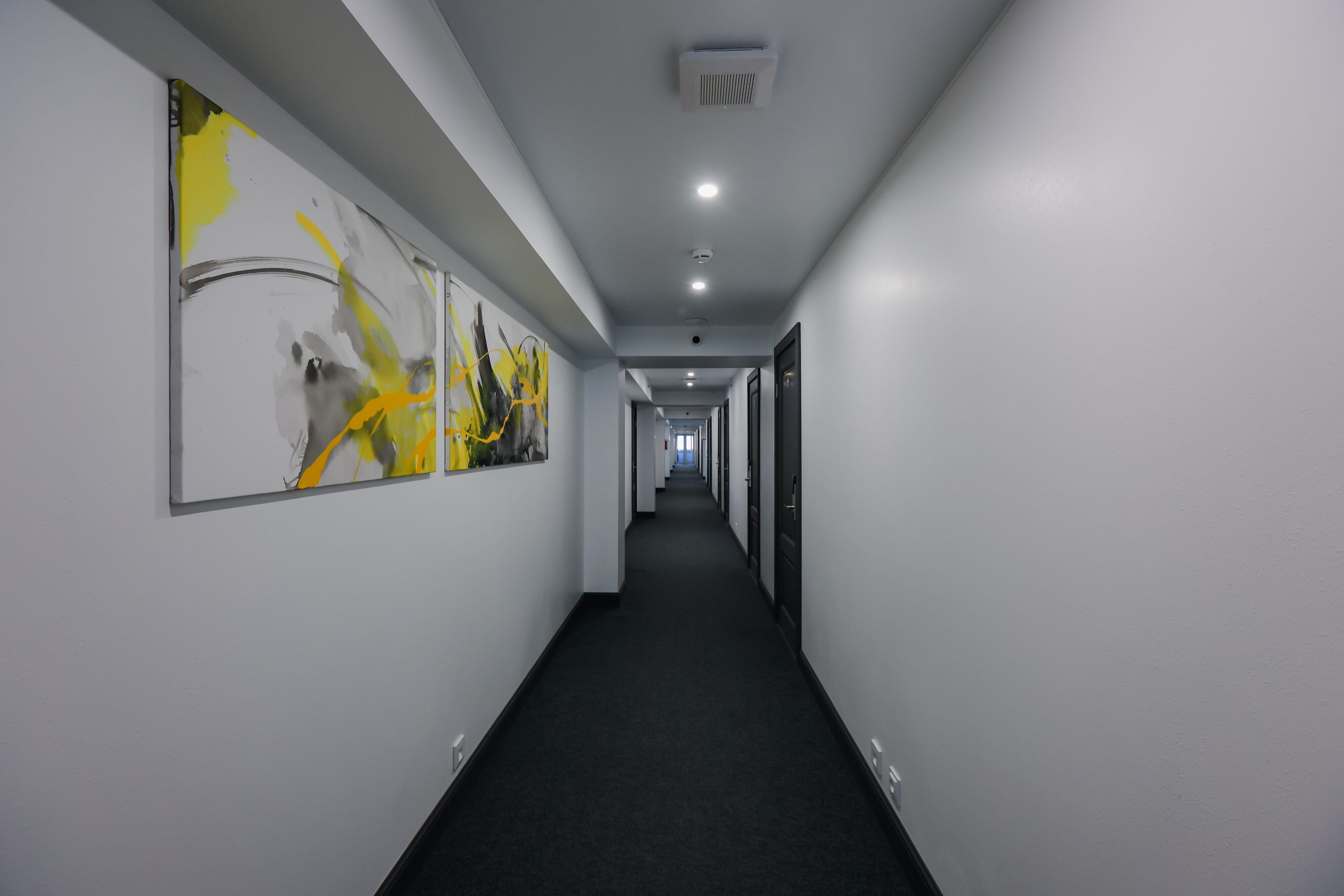 Фото Гейзер