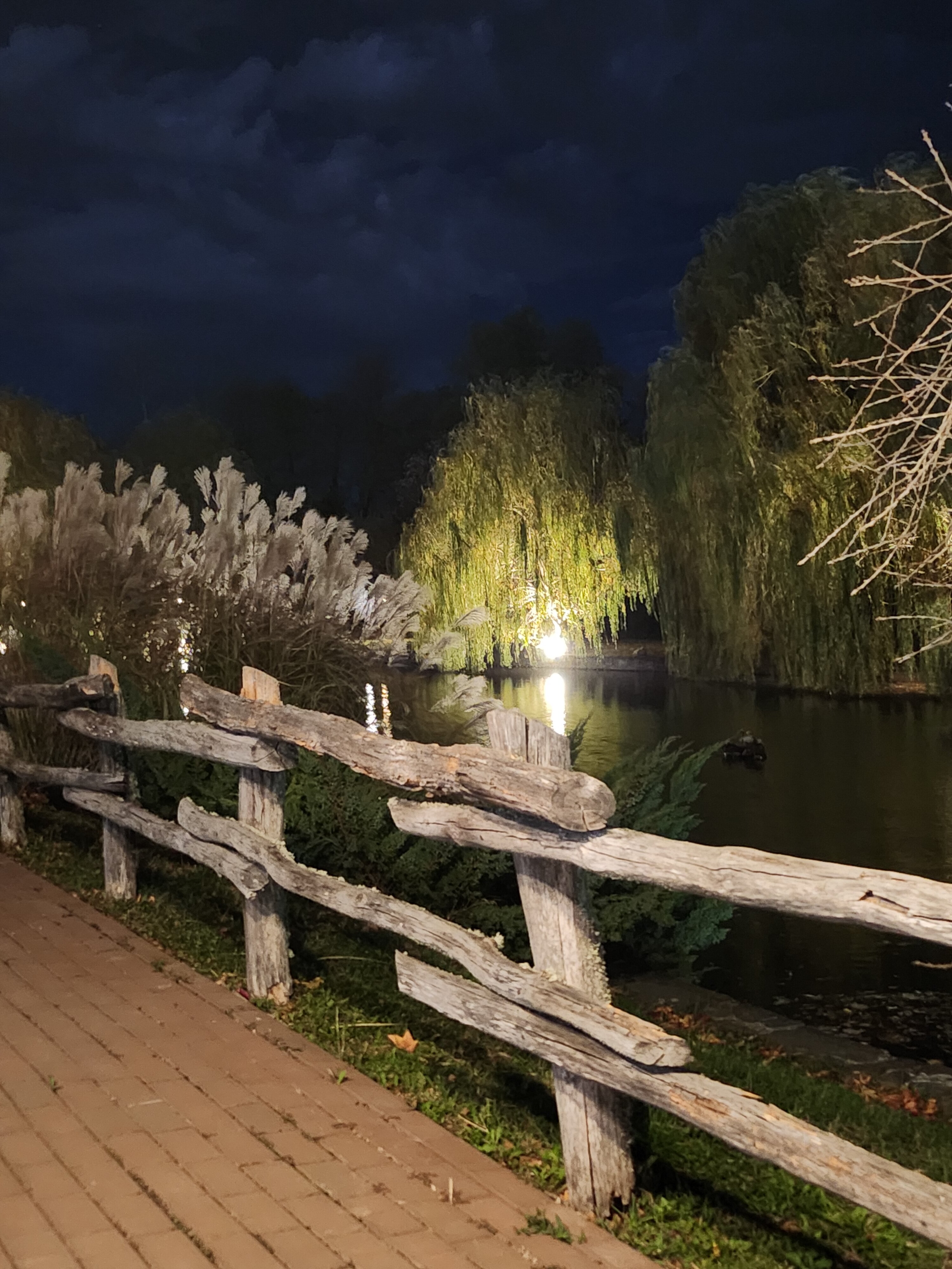 Фото Кура-цеце