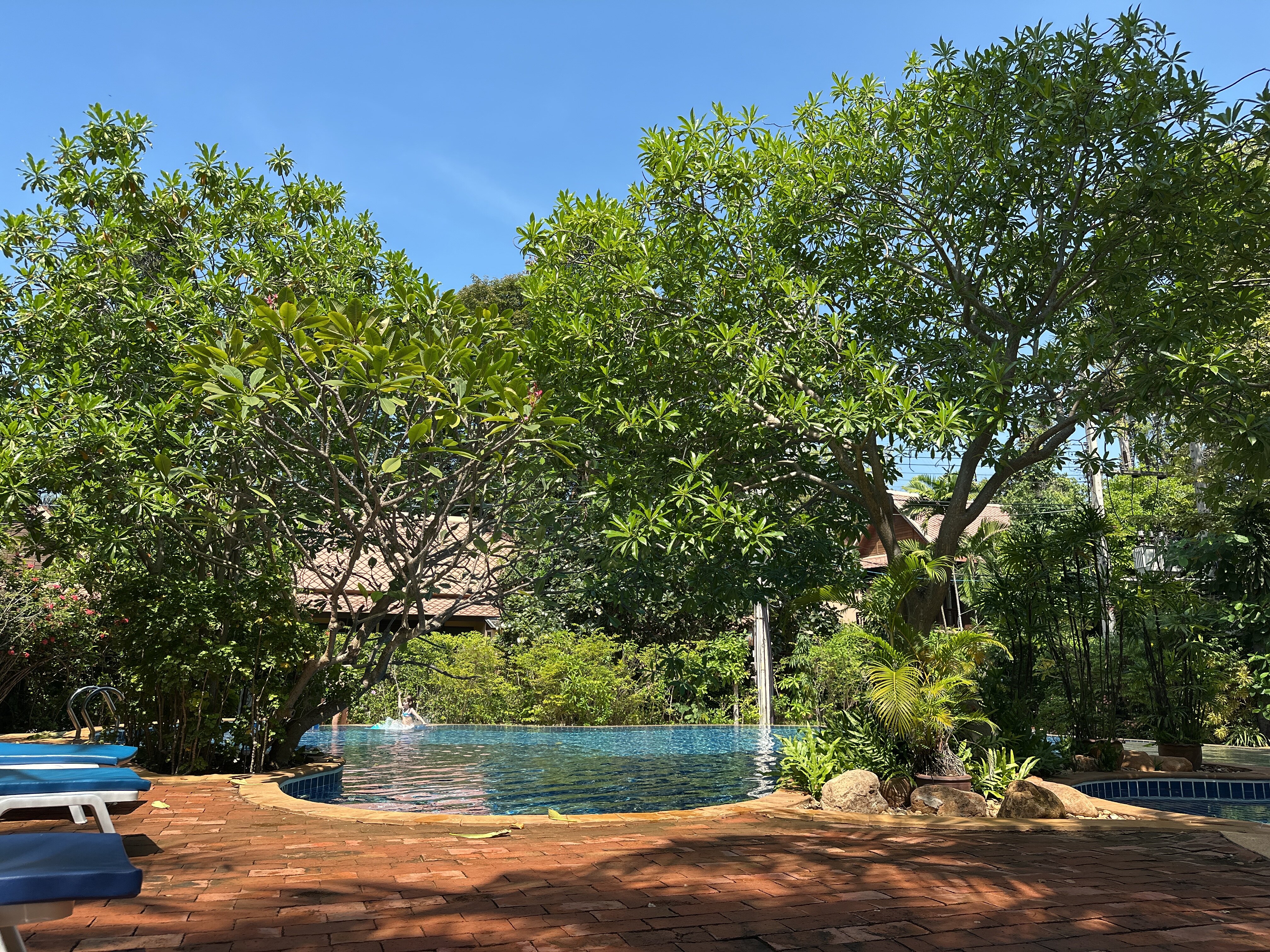 Фото Rabbit Resort Pattaya