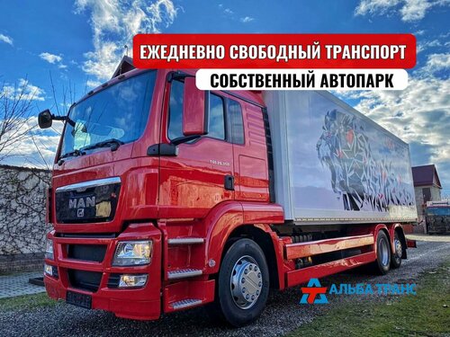 Сексуалды сиыр қыздар