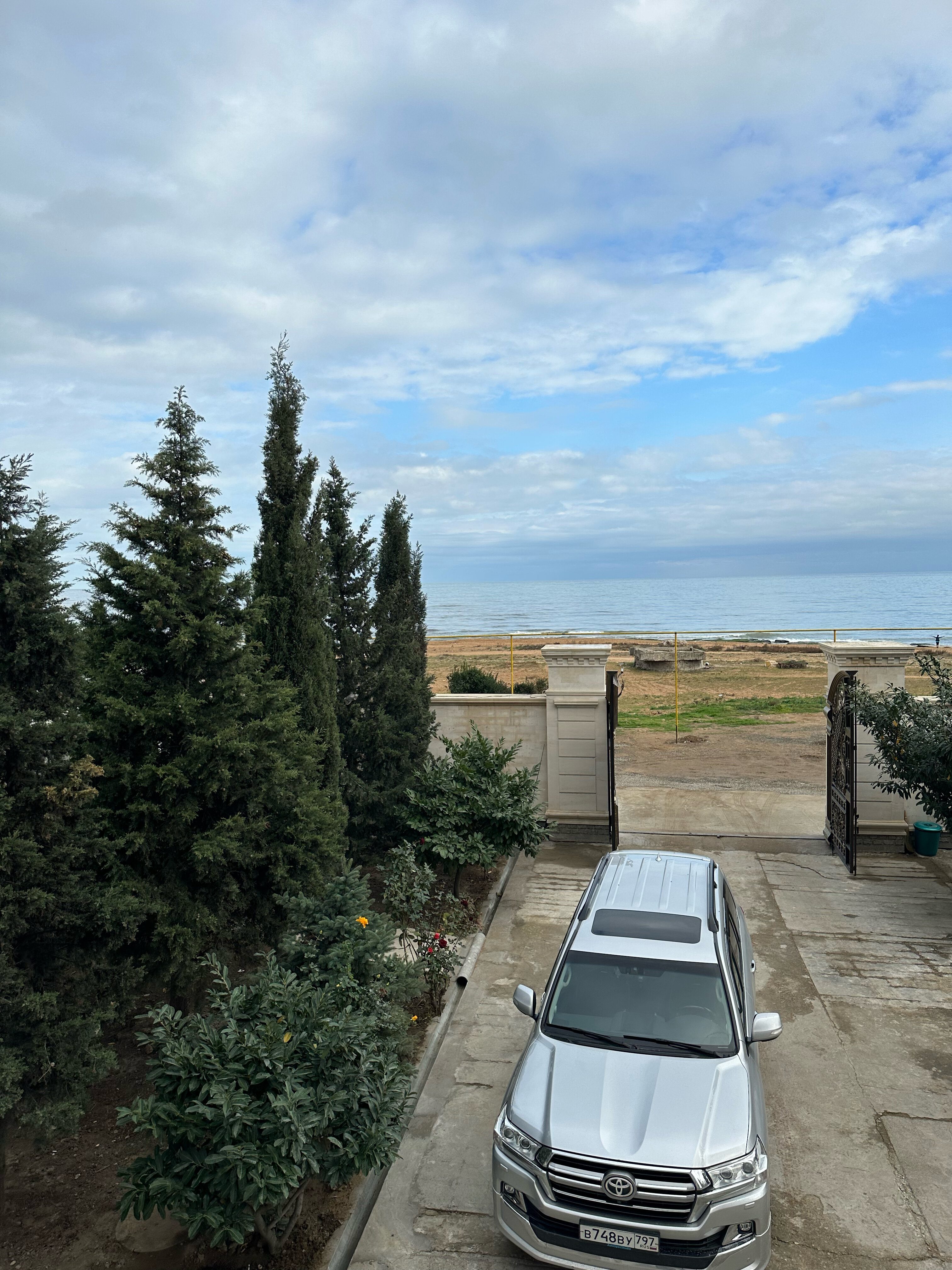 Фото Жемчужина