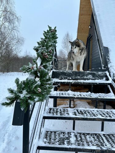 Дом отдыха Просто Cosmos в Калужской области