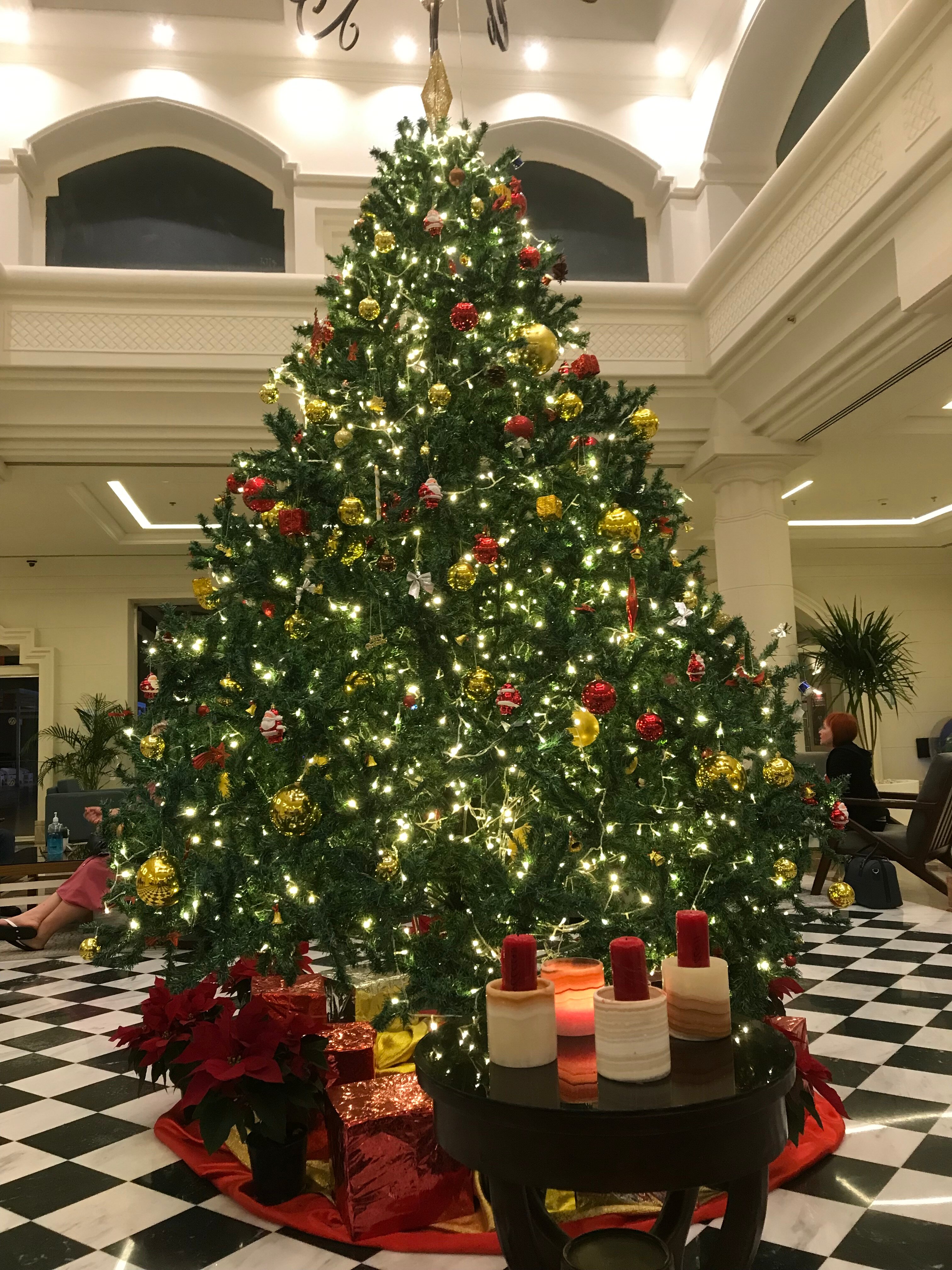 Фото Albatros Sharm Resort