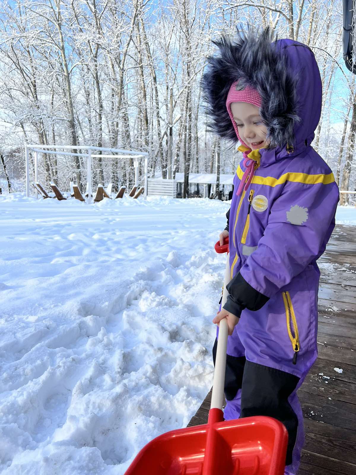 Фото Пара Альпак
