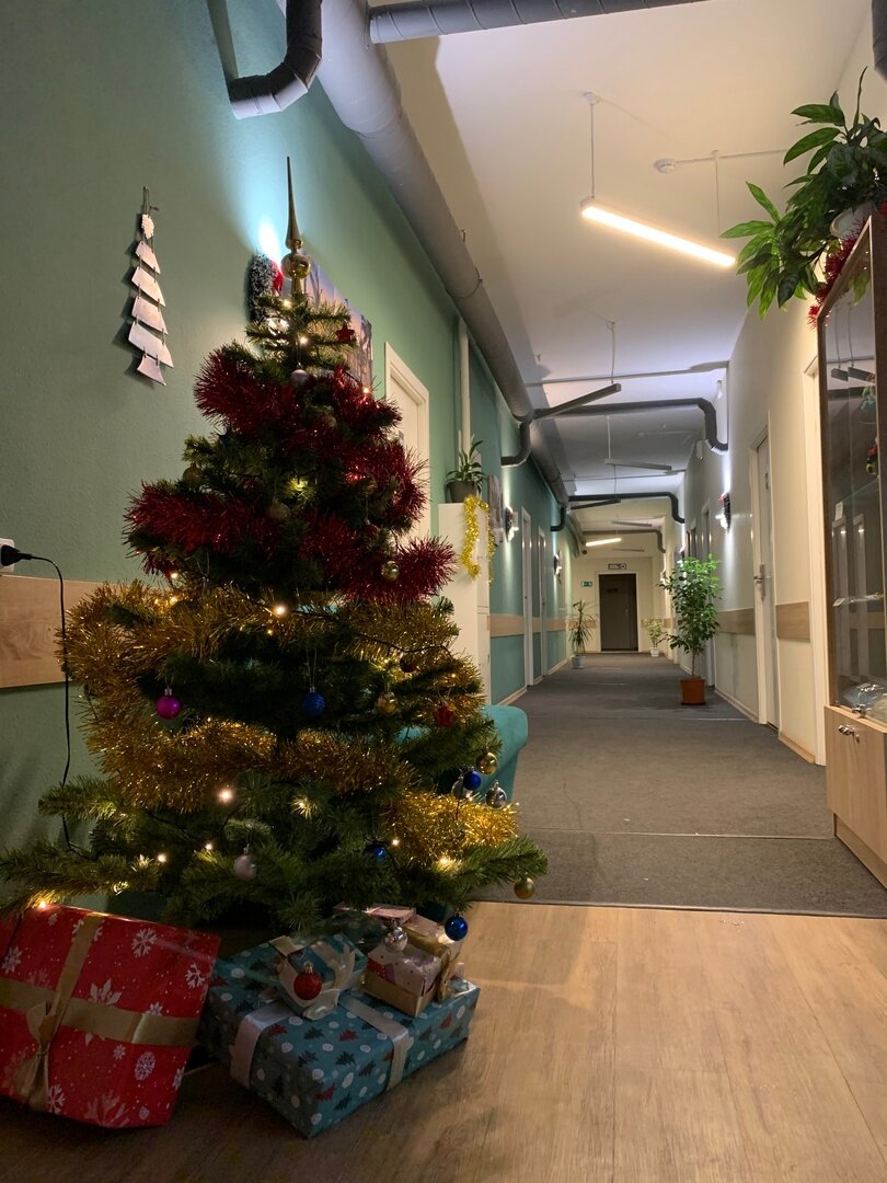 Фото Парк Отель