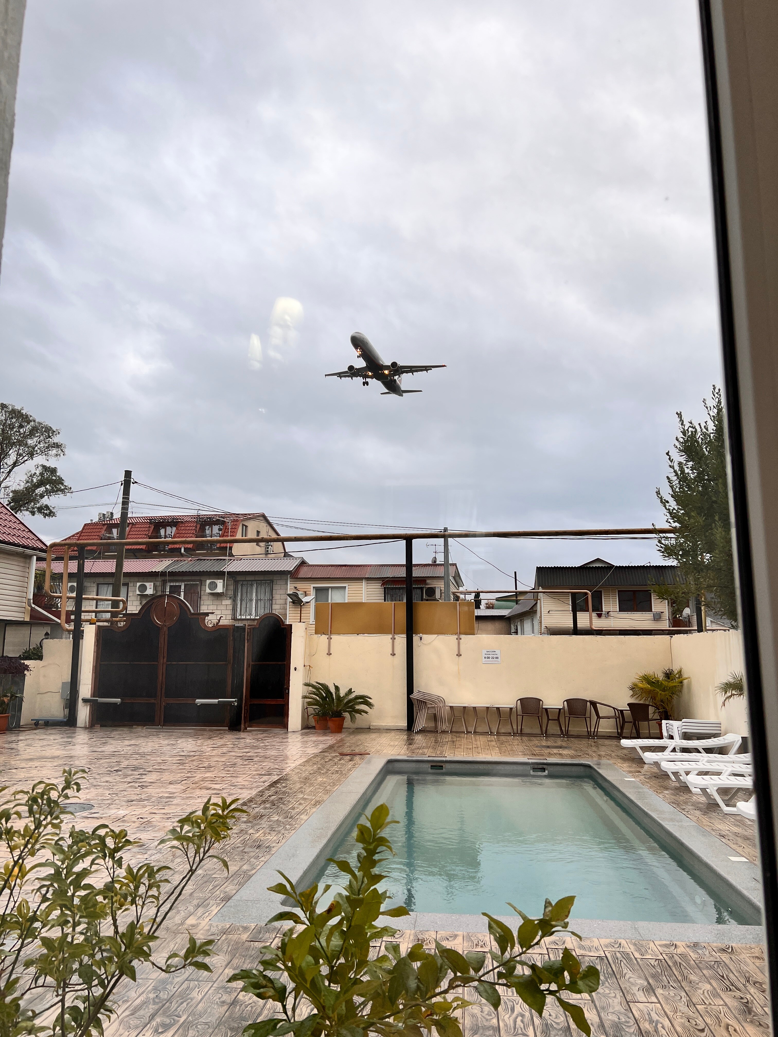 Фото Офелия