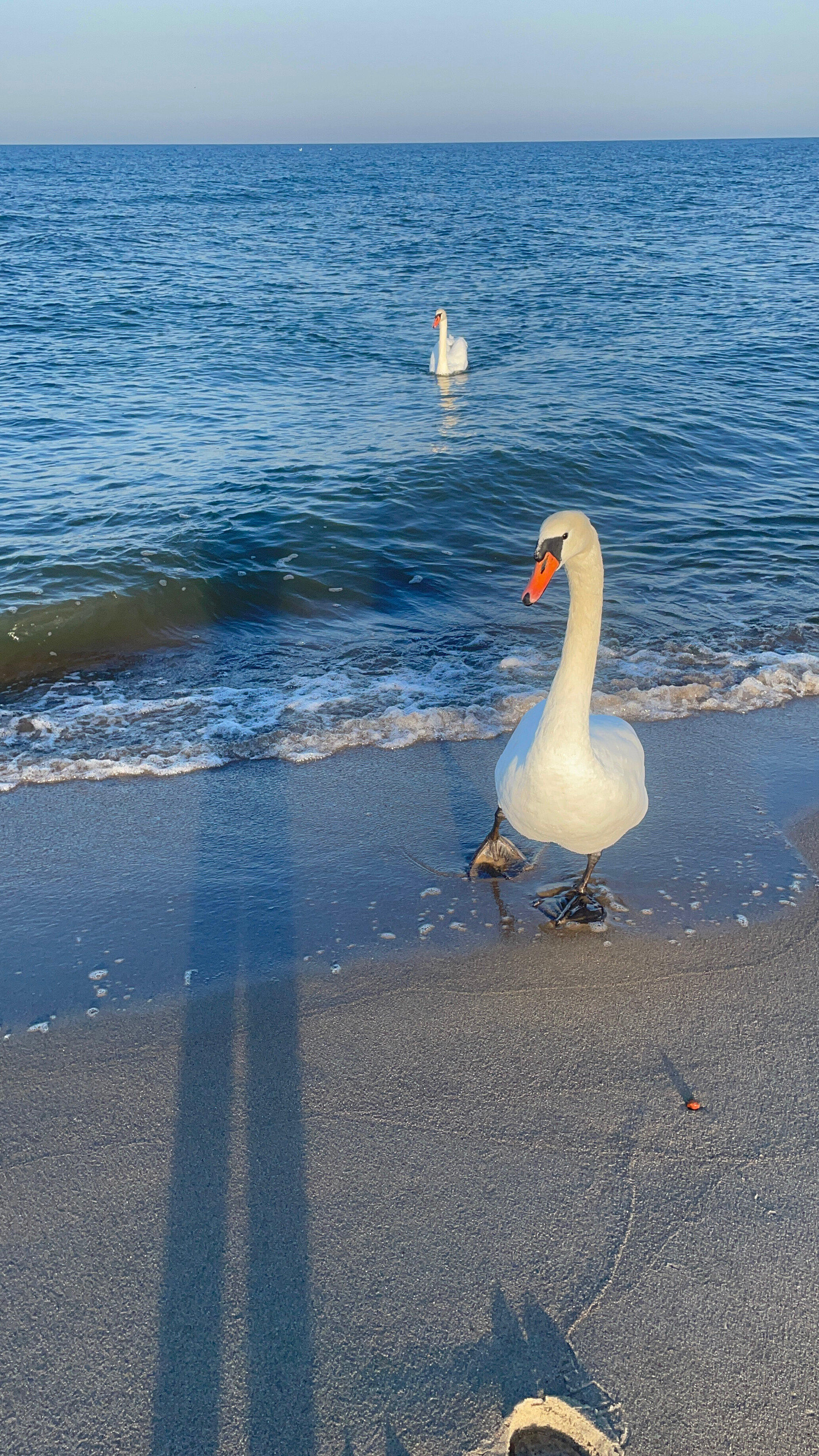 Фото Море Рядом