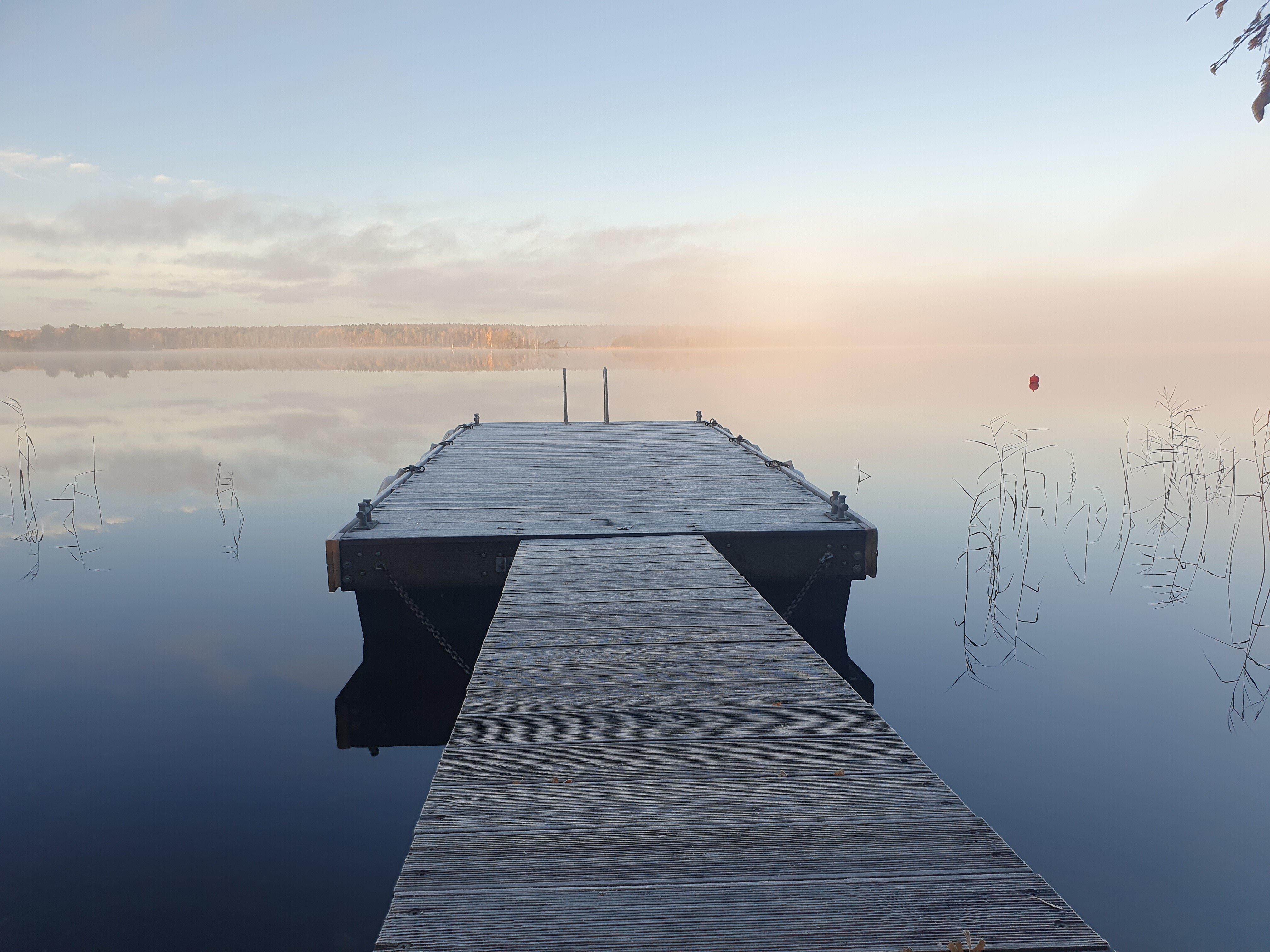 Фото Онегин