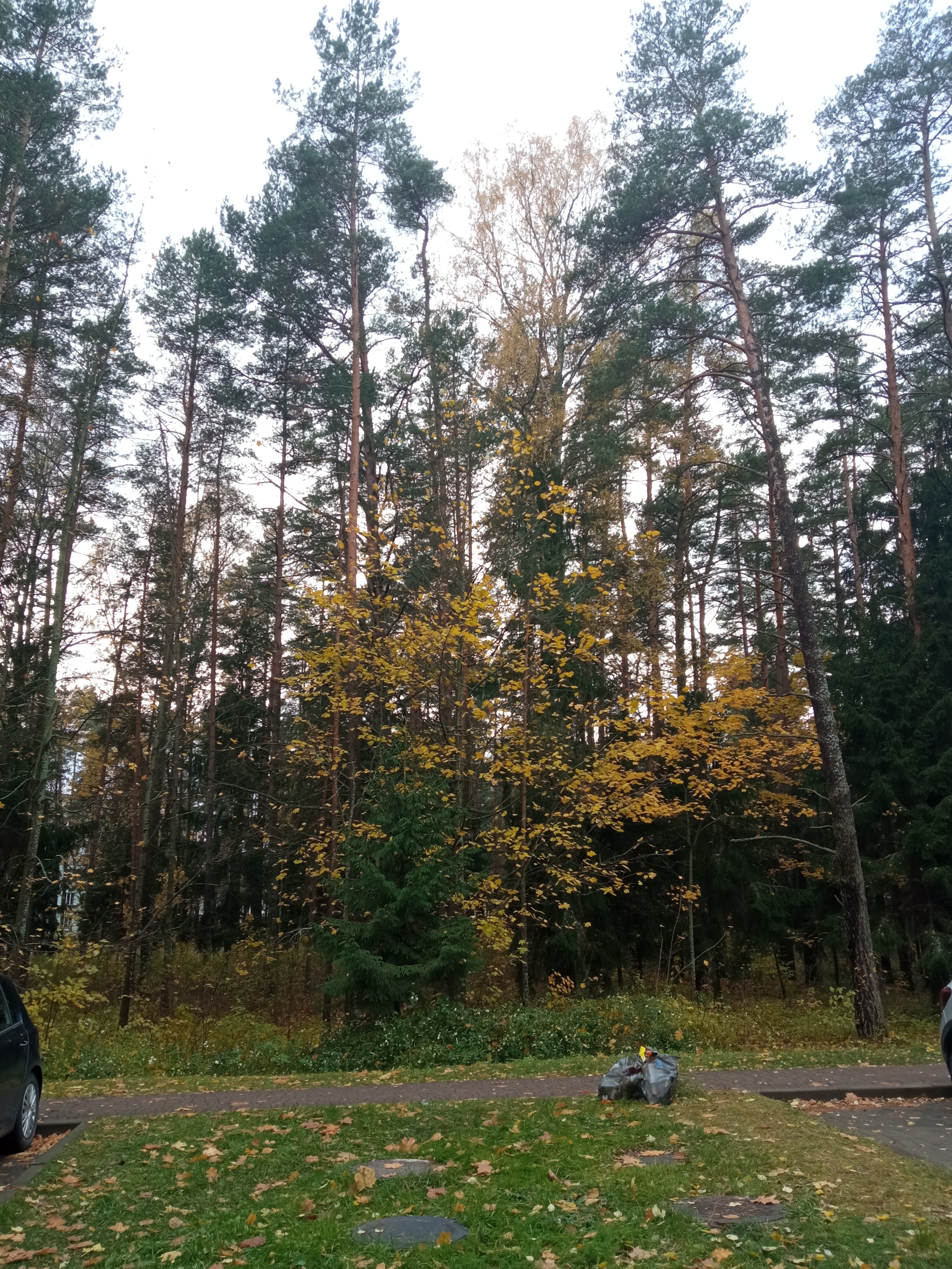 Фото Нафтан