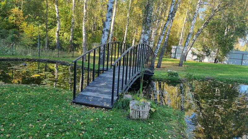 Уютный домик в лесу у пруда — фото 1