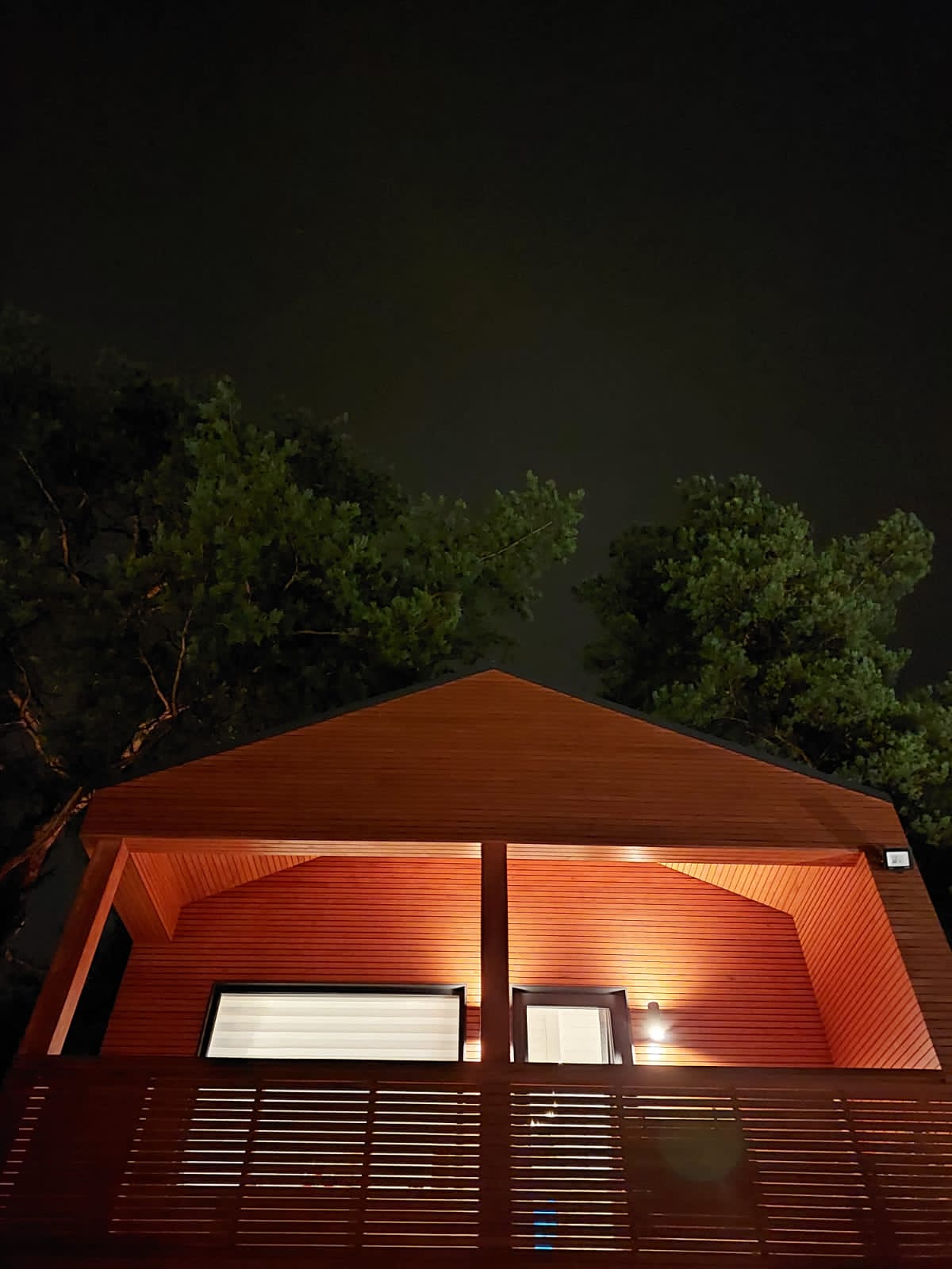 Фото Дом студия Forest deer