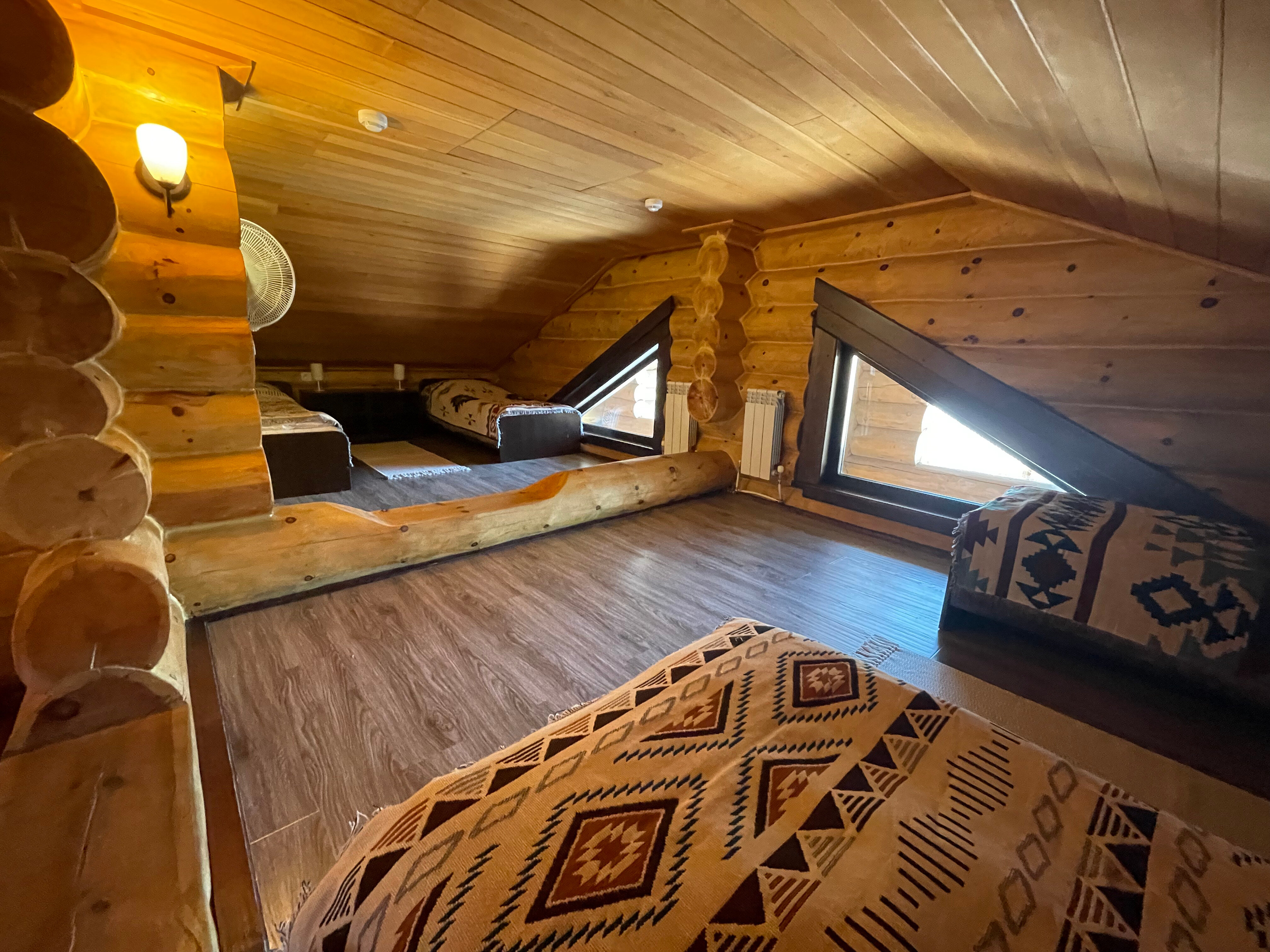 Фото Рыжий кот