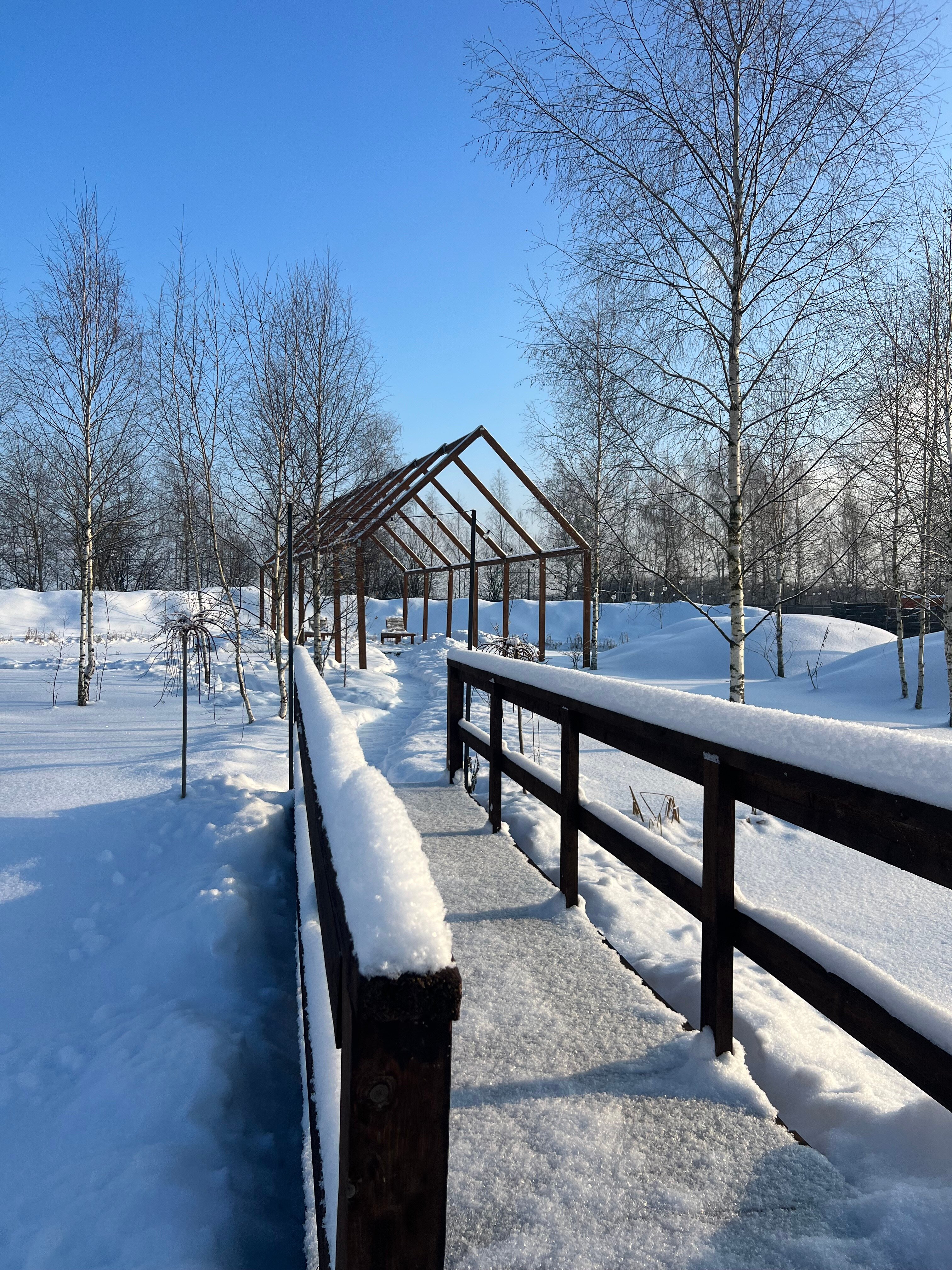 Фото В Поле