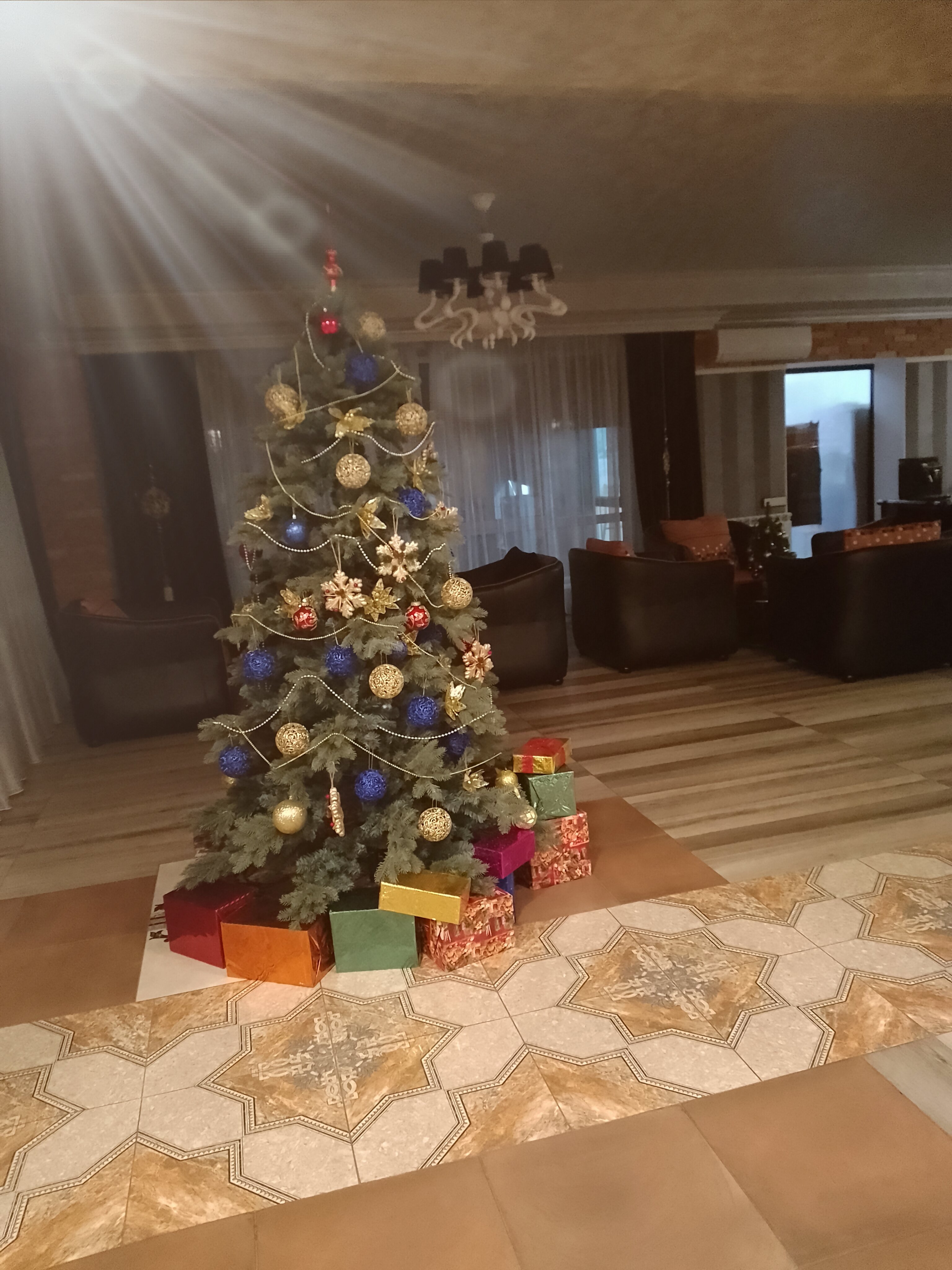 Фото Золотой дракон