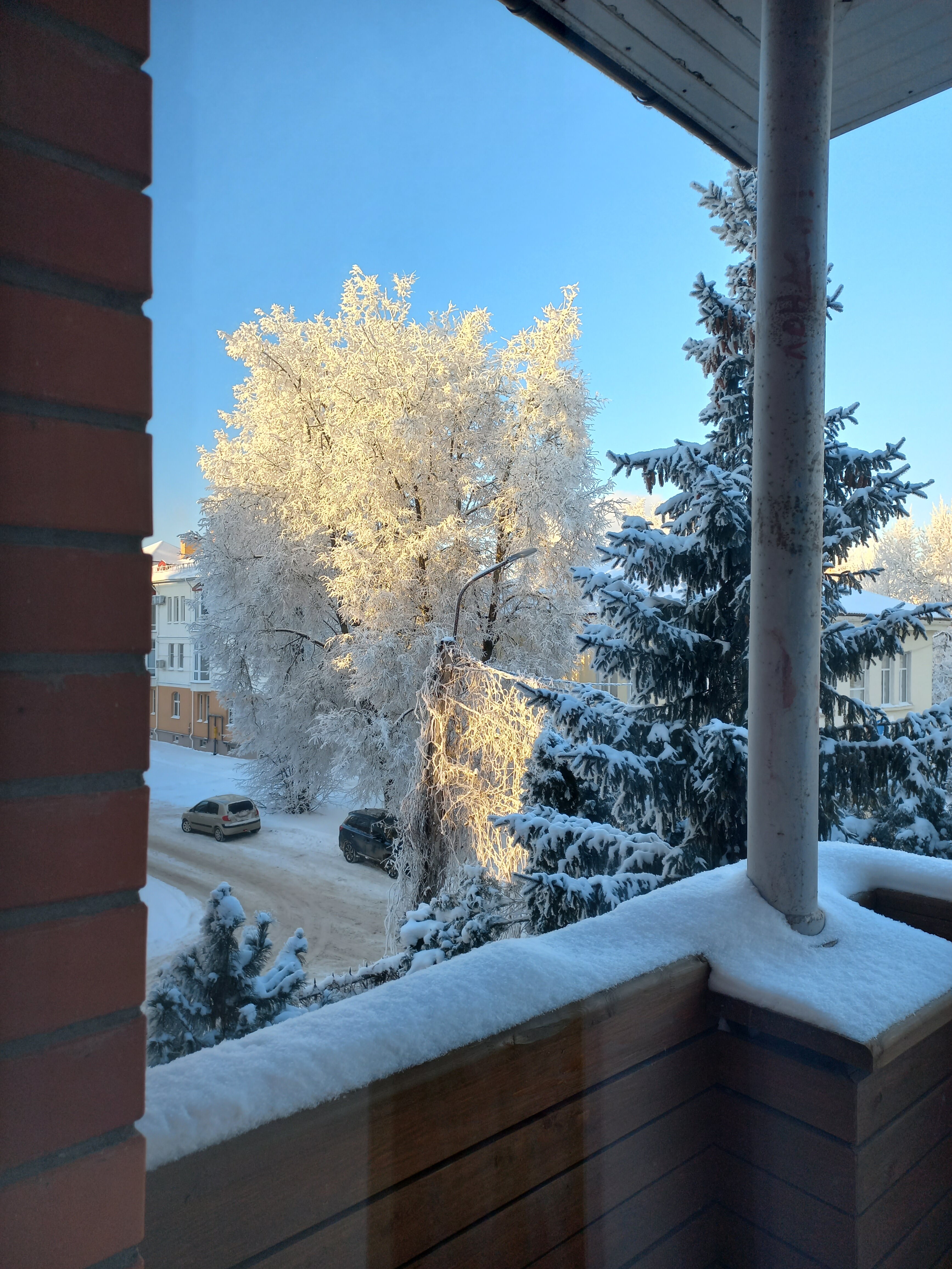 Фото Добрыня