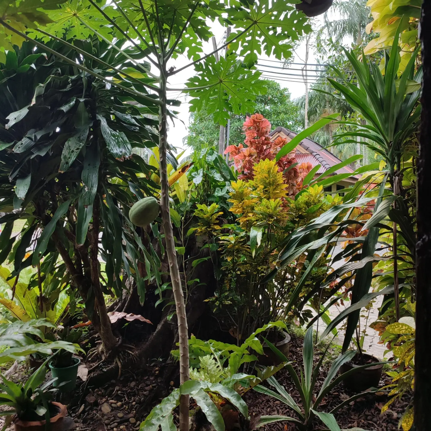 Фото Sunda Resort