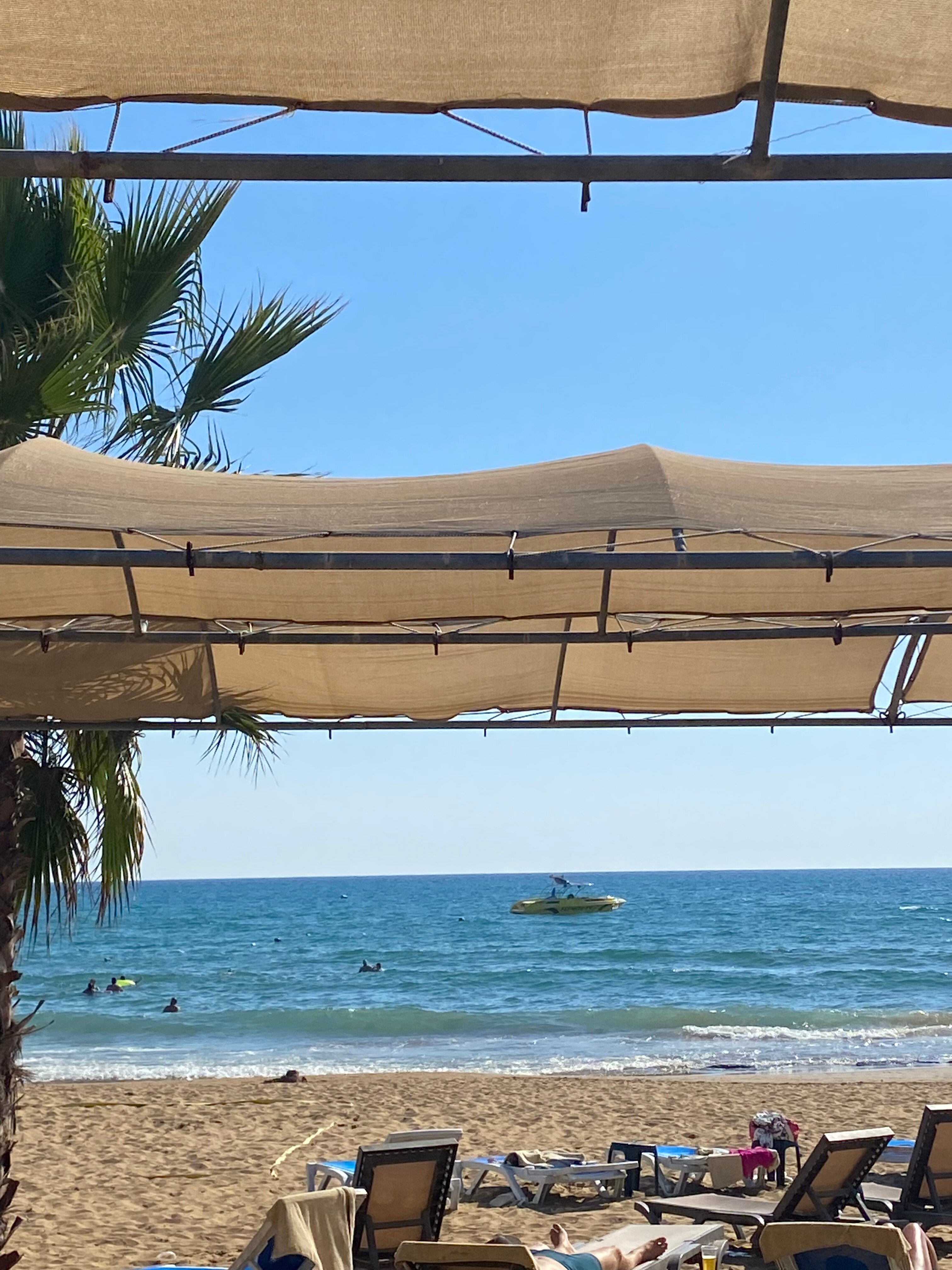 Фото Orfeus Park Hotel