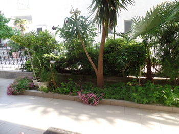 Фото Antique The Hotel