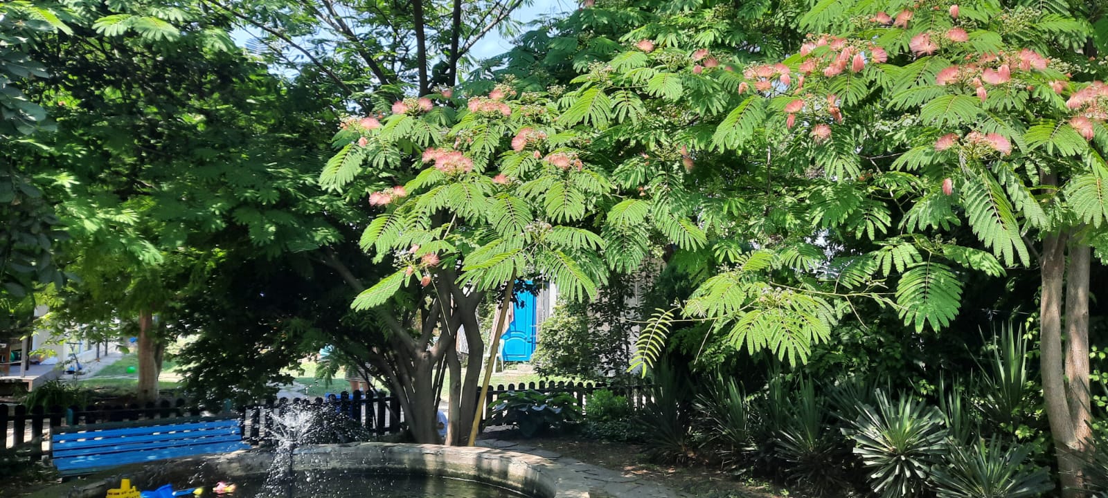 Фото ЭтоЛето