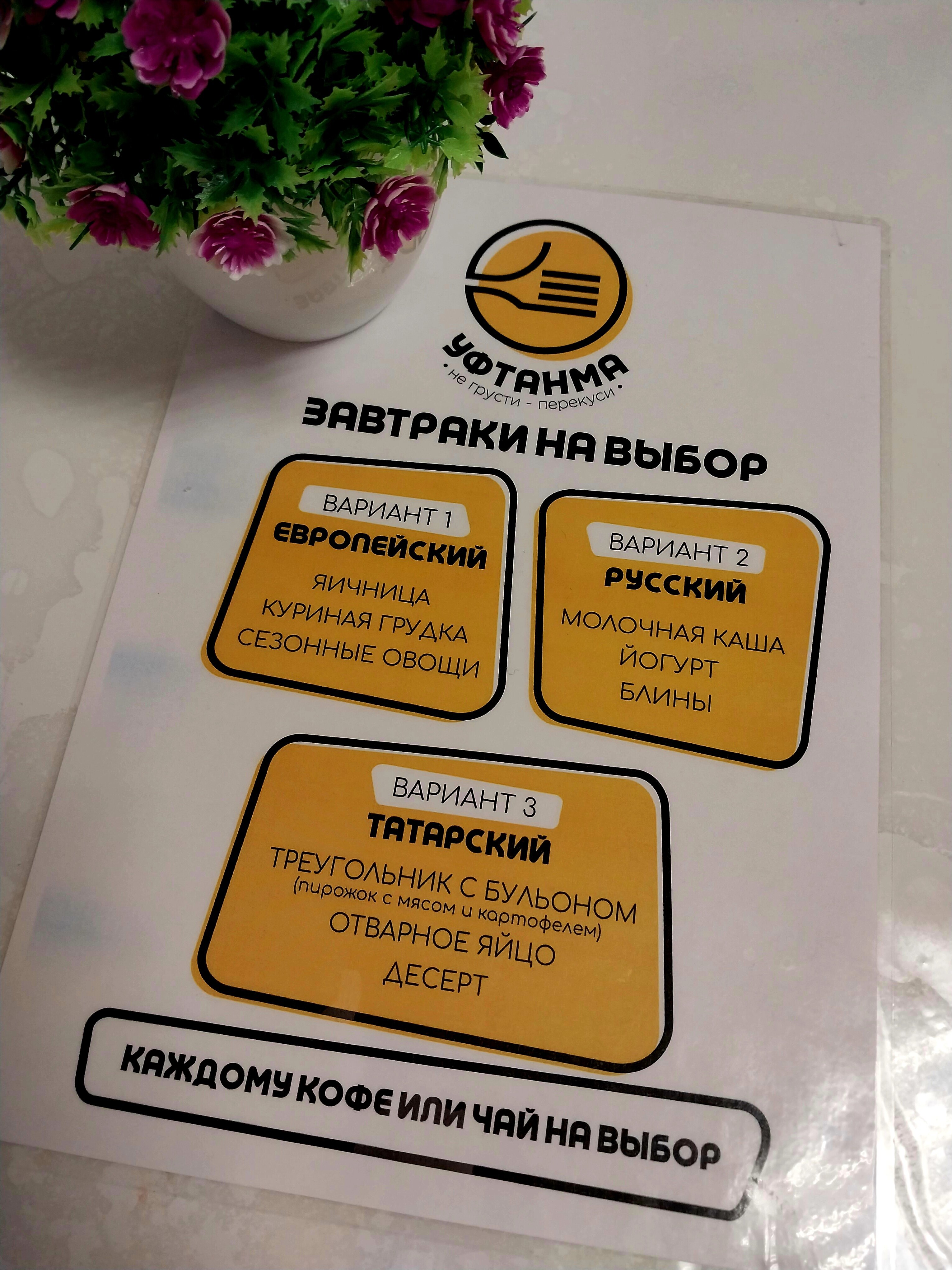 Фото Азалия на Московской