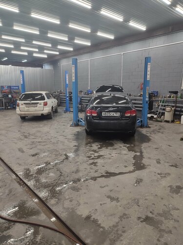 Тина Каролдың кеудесі мен жопасының порносы