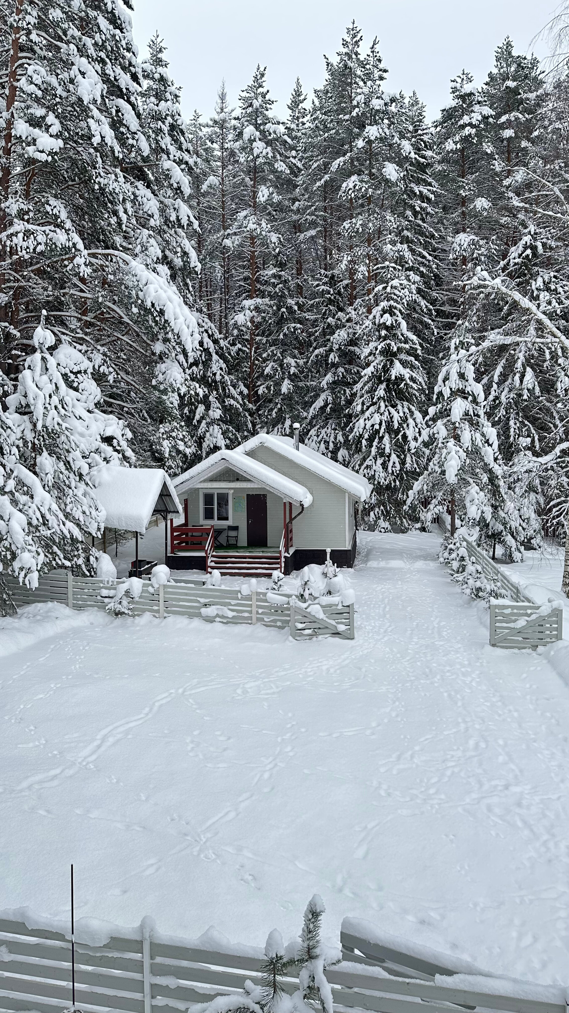 Фото Озерява