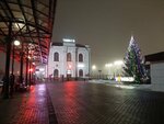 Железнодорожная станция Тригуляй (gorodskoy okrug Tambov, posyolok Trigulyay), estación de tren
