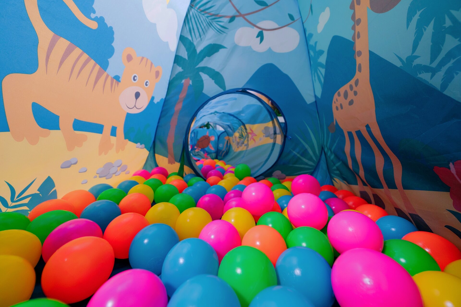 Фото Чеботарёвъ