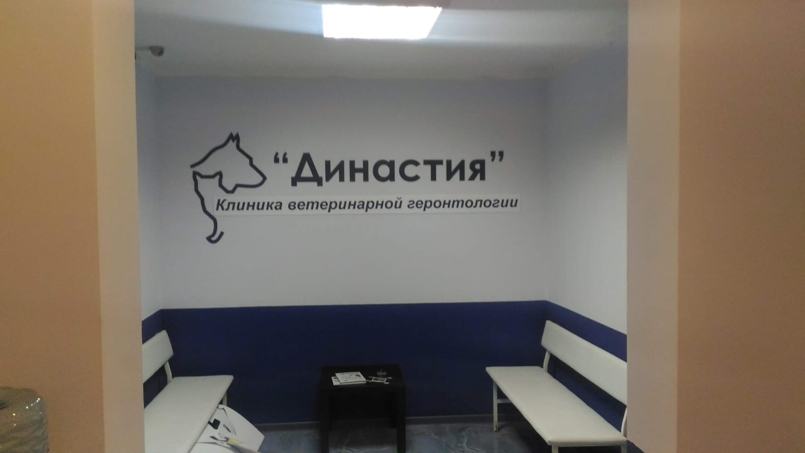 Династия - фото 7