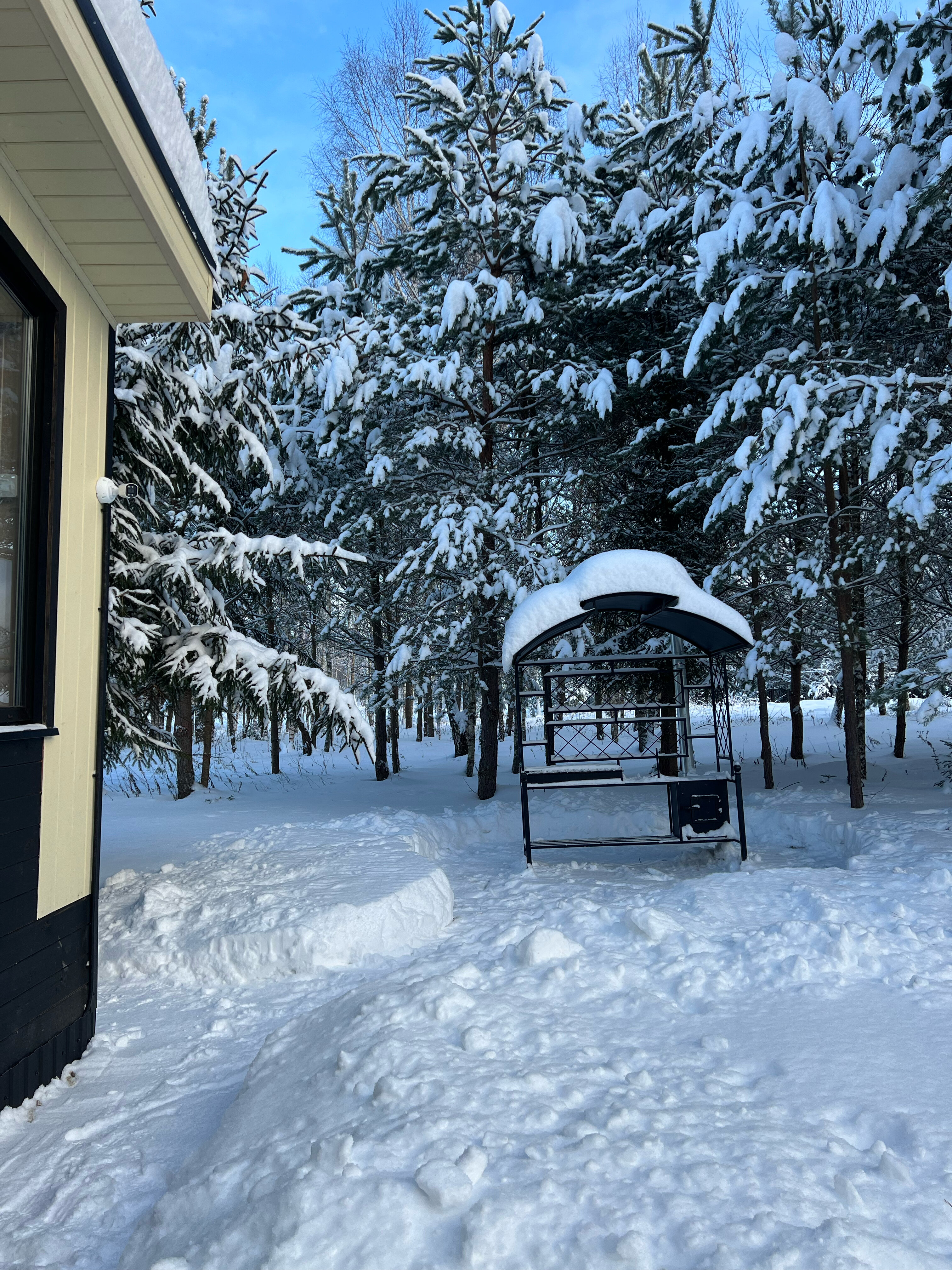 Фото Заповедное