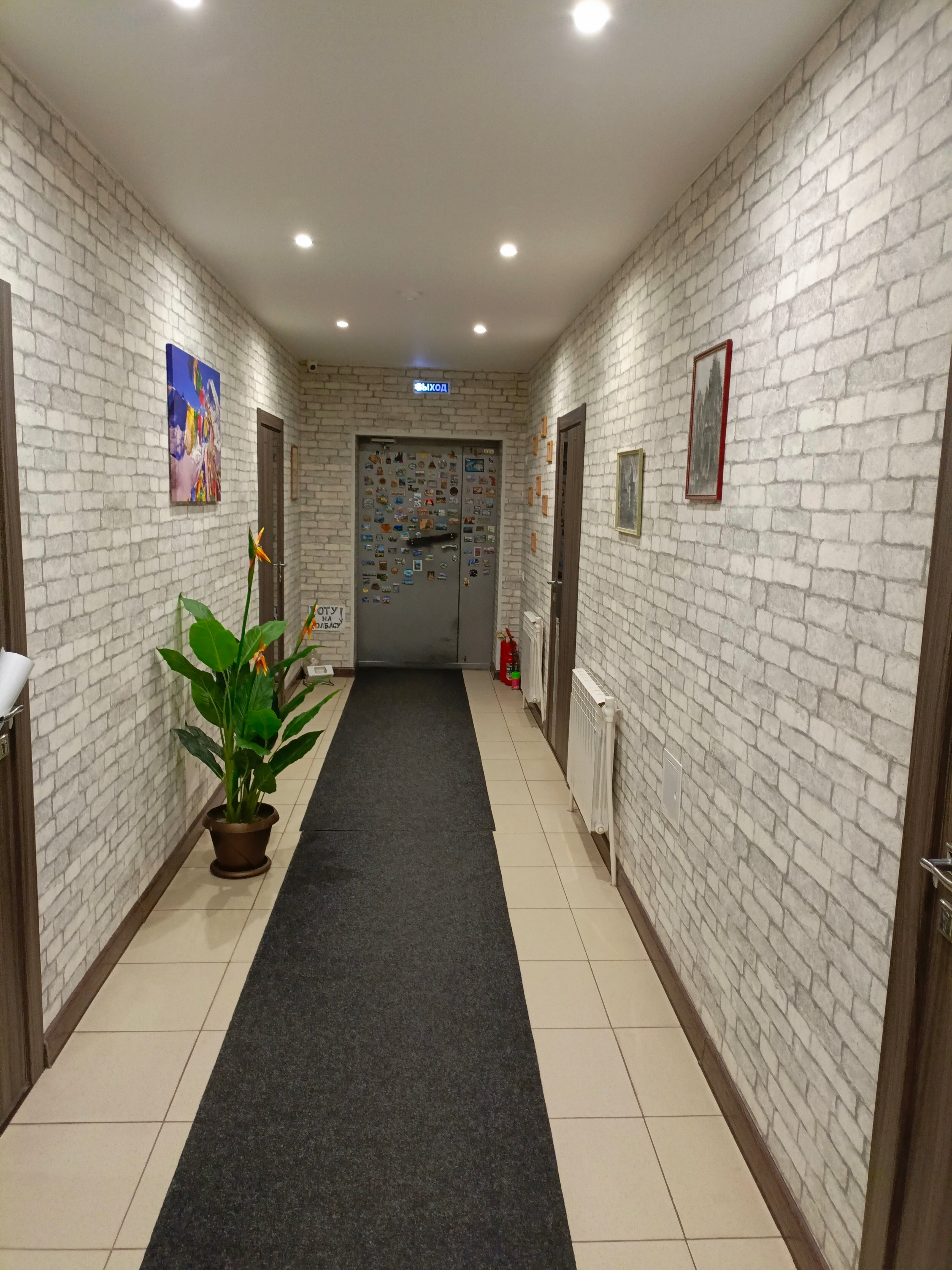 Фото Эдельвейс