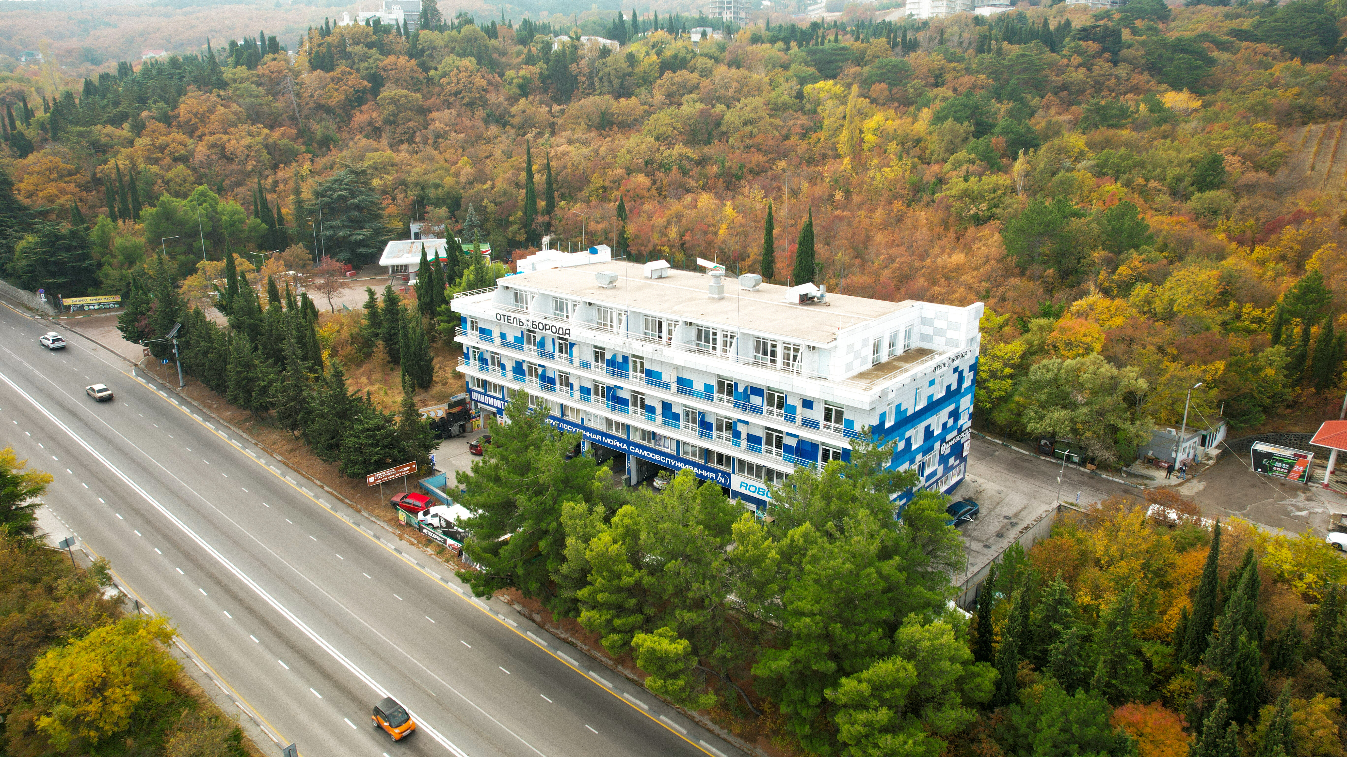 Фото Борода