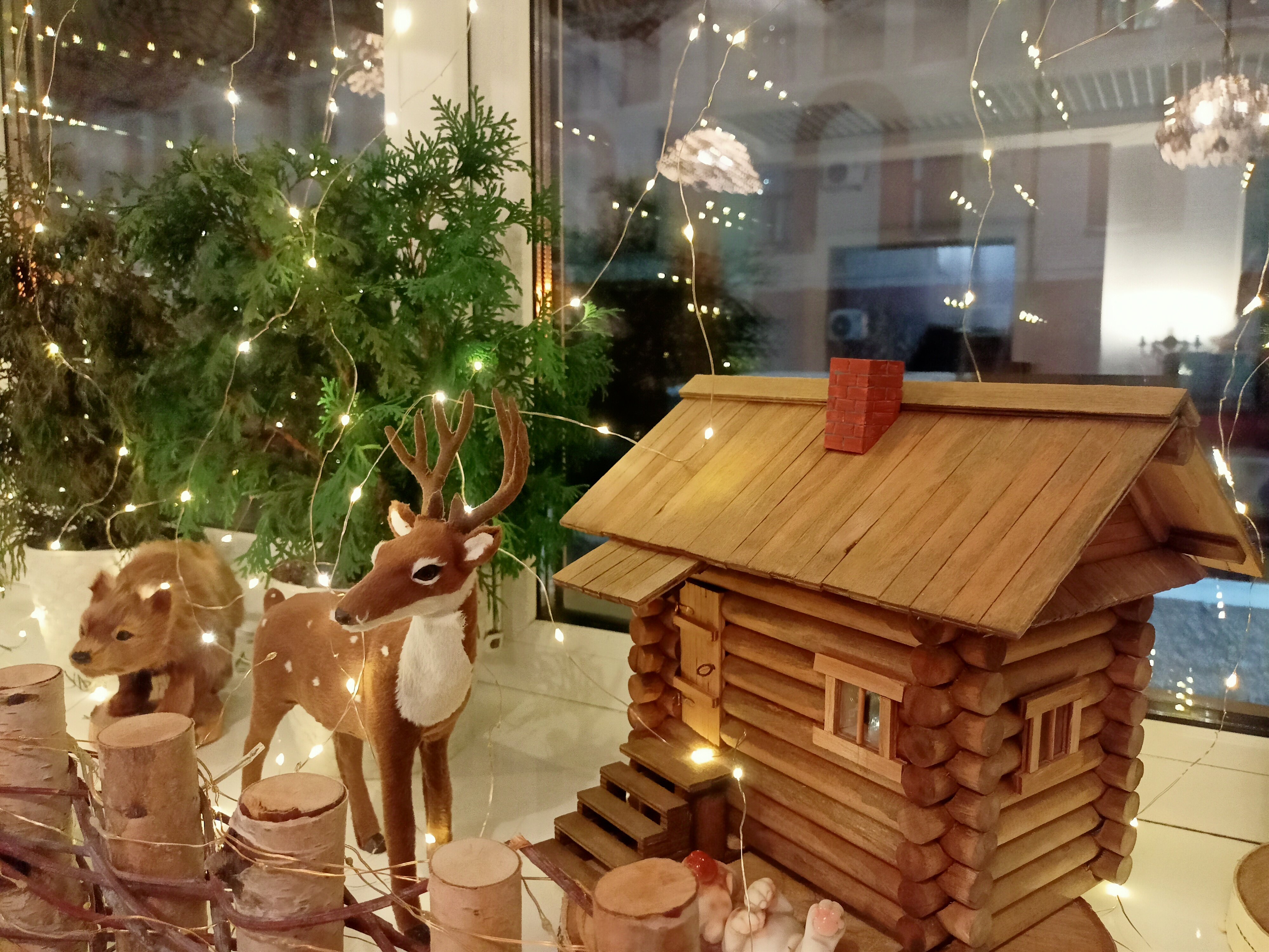 Фото Северница