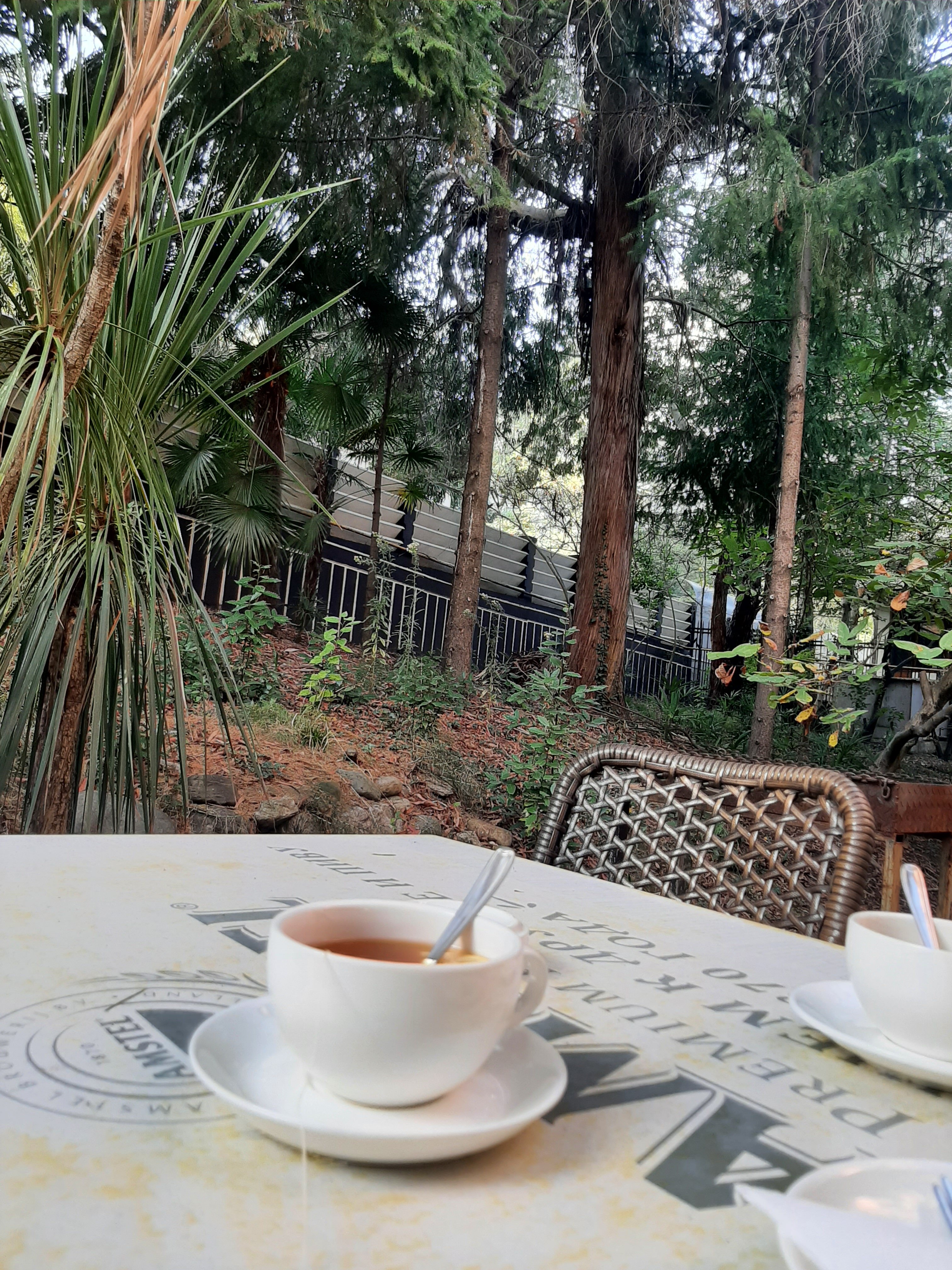 Фото Радужный