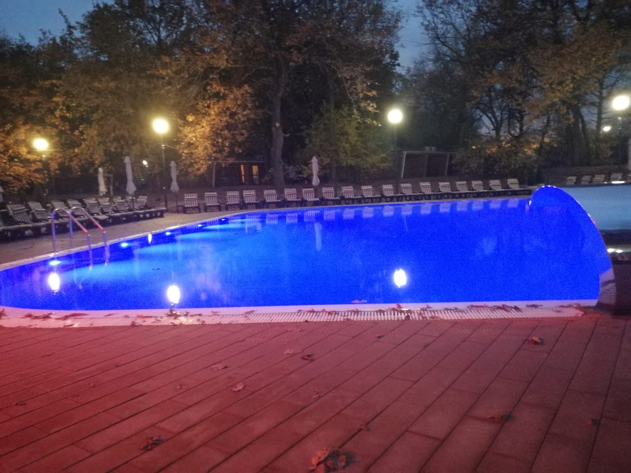 Фото Дубровский