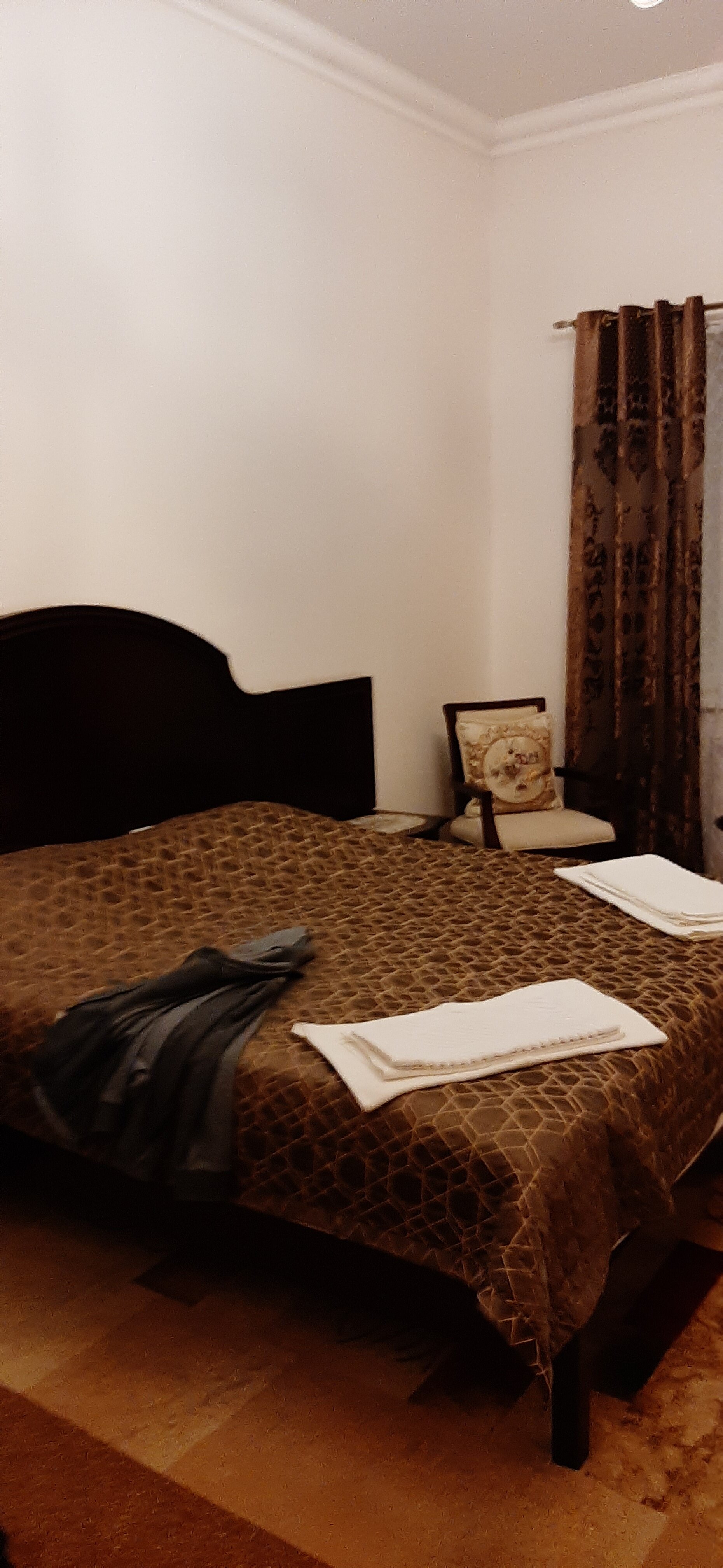 Фото Пирани