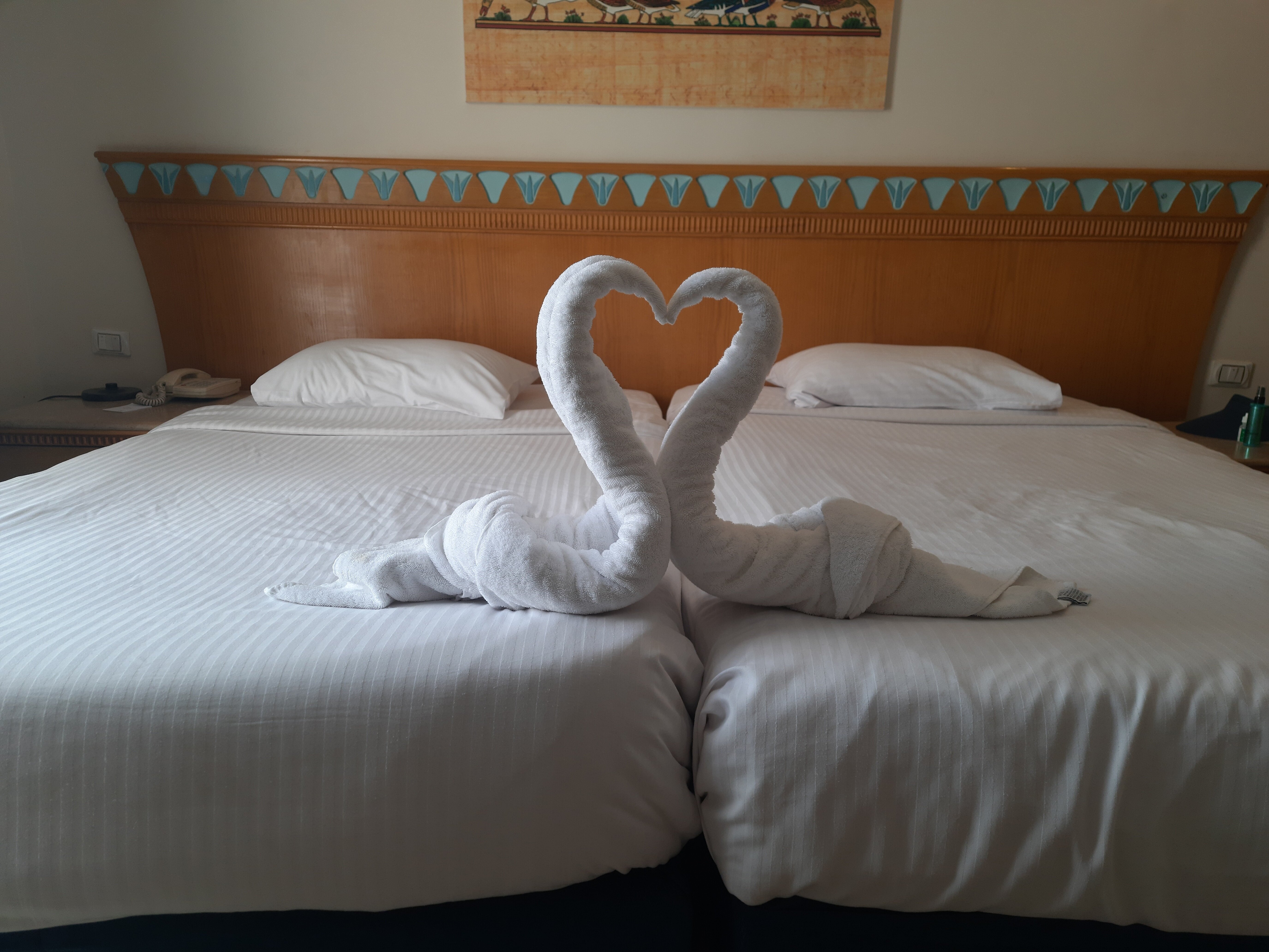 Фото Seagull Beach Resort