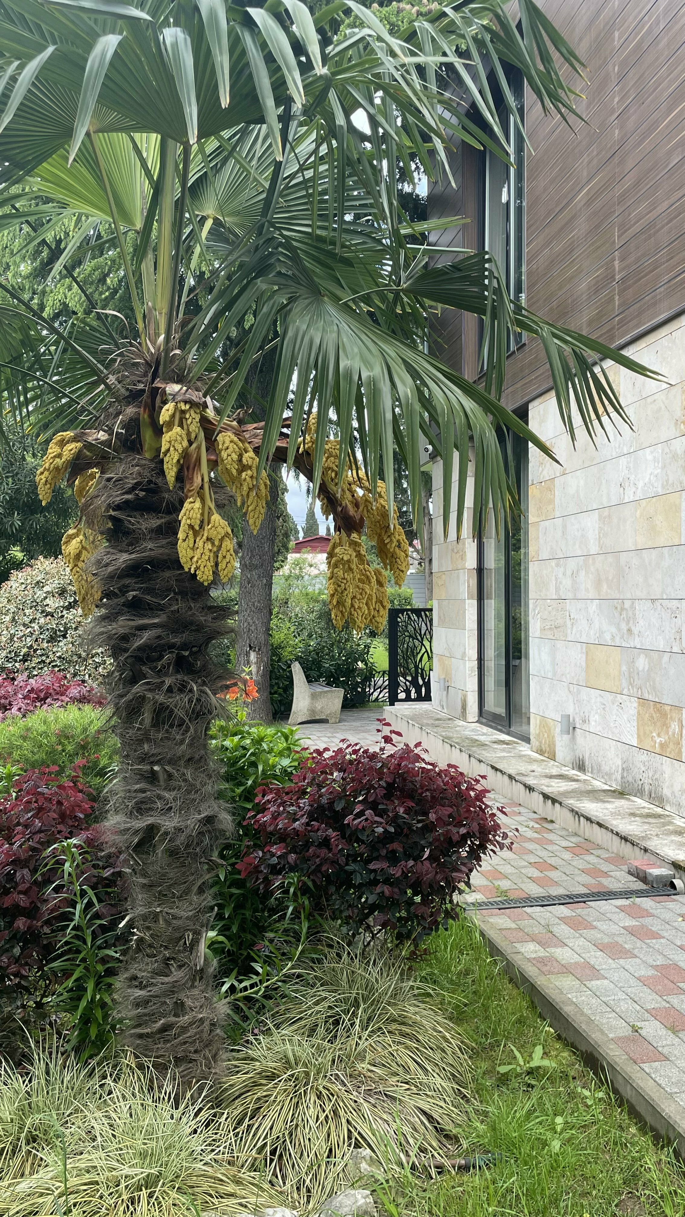 Фото Pulsar Villa Deluxe