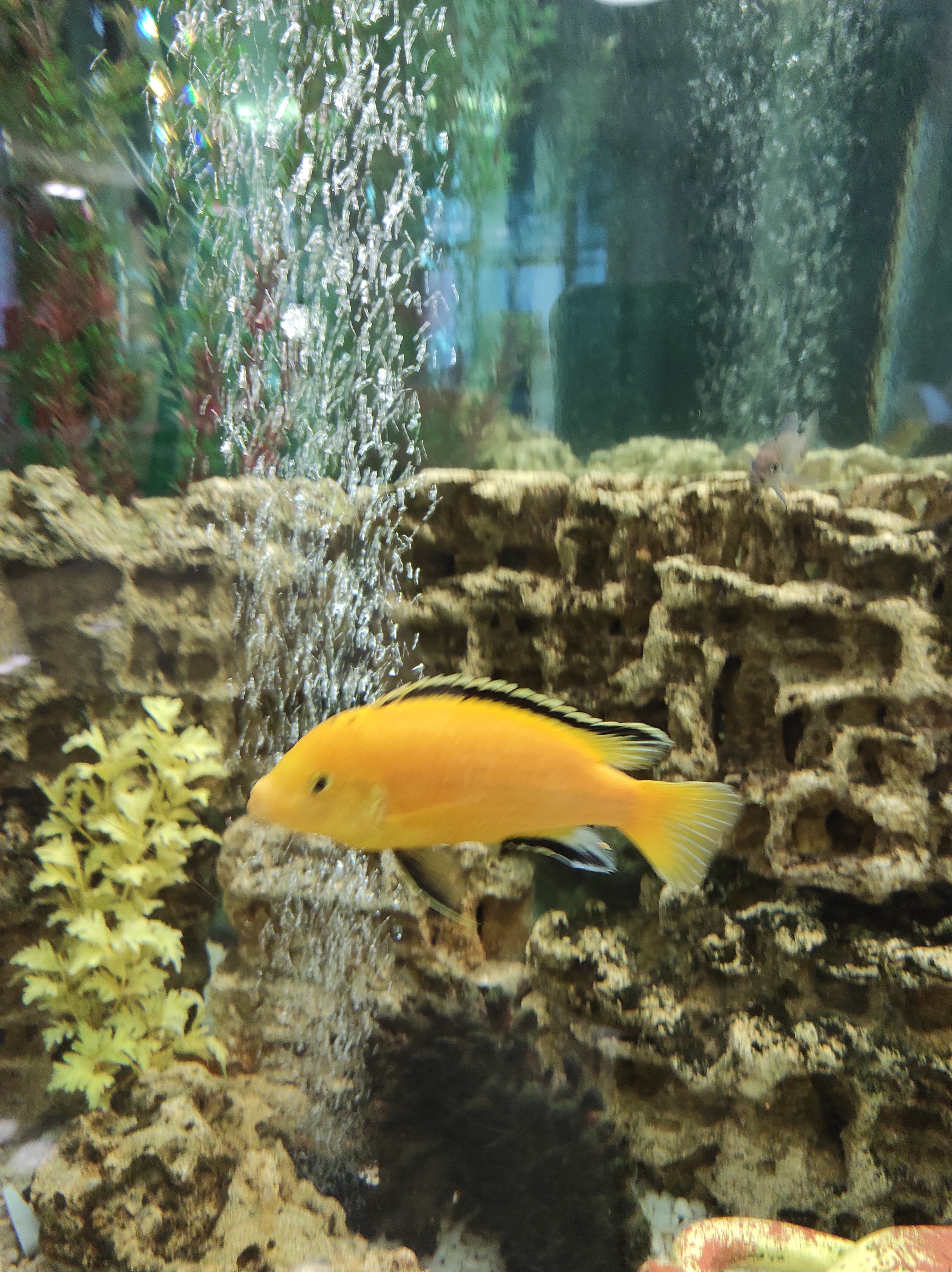 Фото Виктория